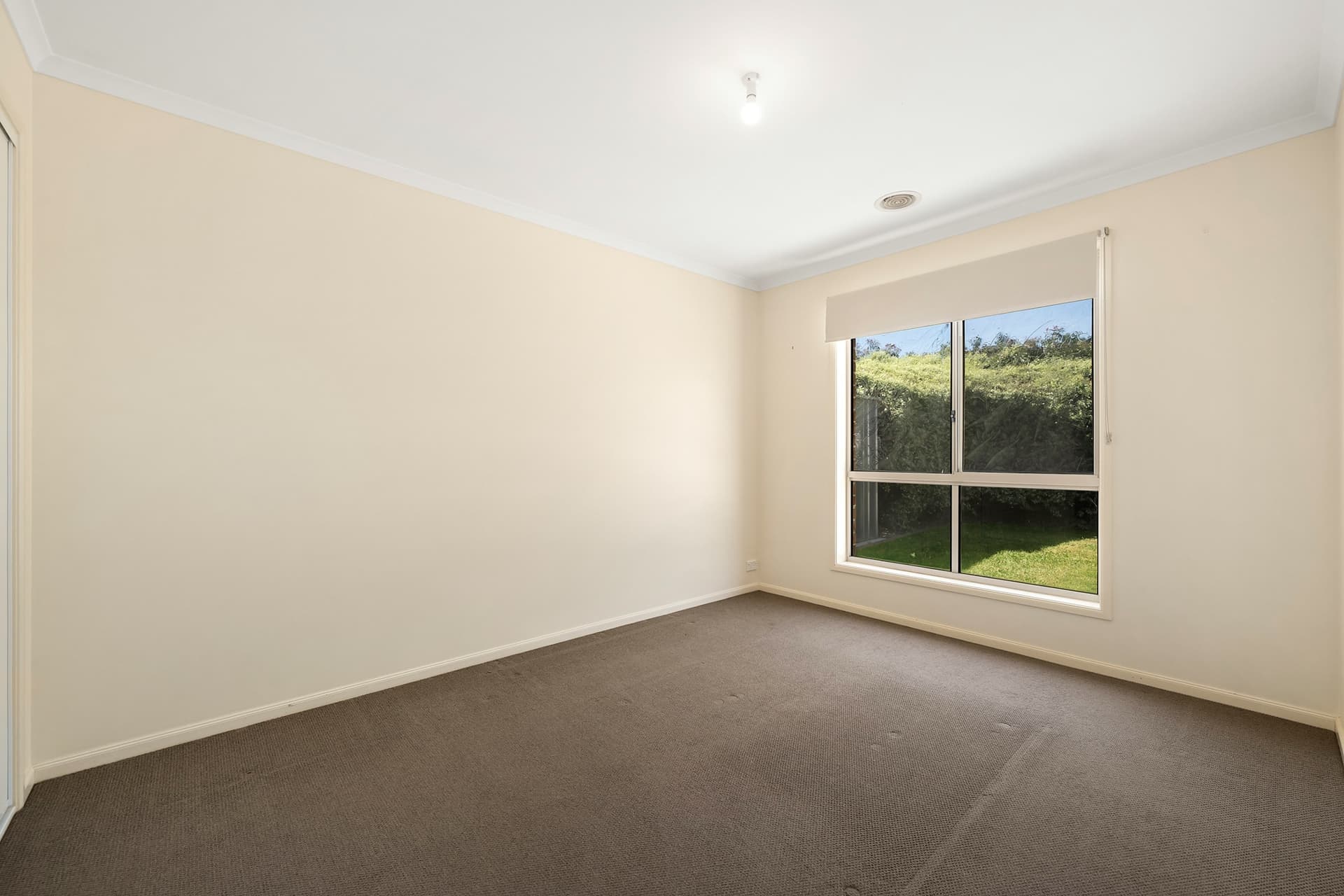 29 Olary Street, Amaroo, Amaroo - Thumbnail 8
