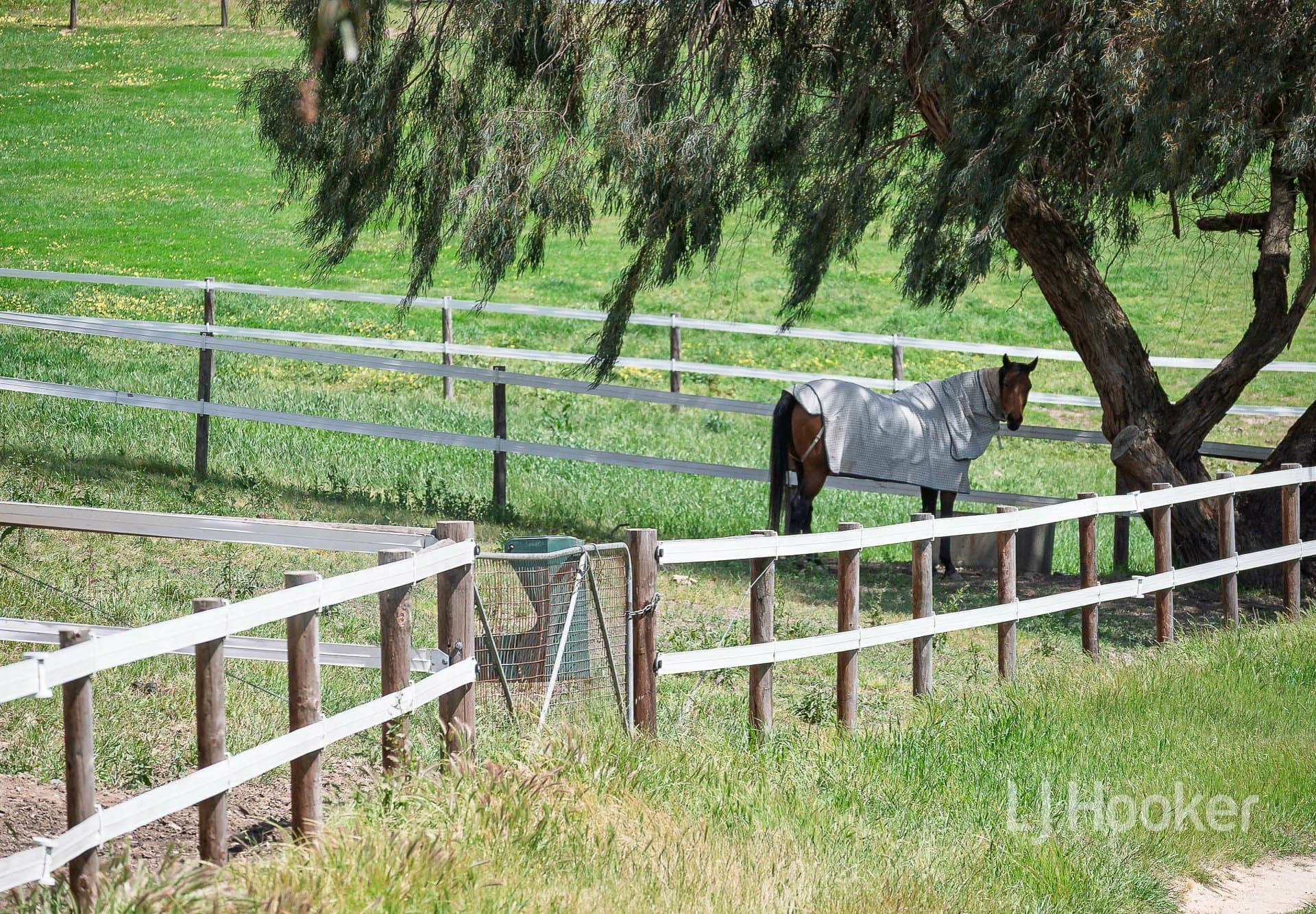 116 Glen Bold Road Chapel Hill SA, Chapel Hill - Thumbnail 2