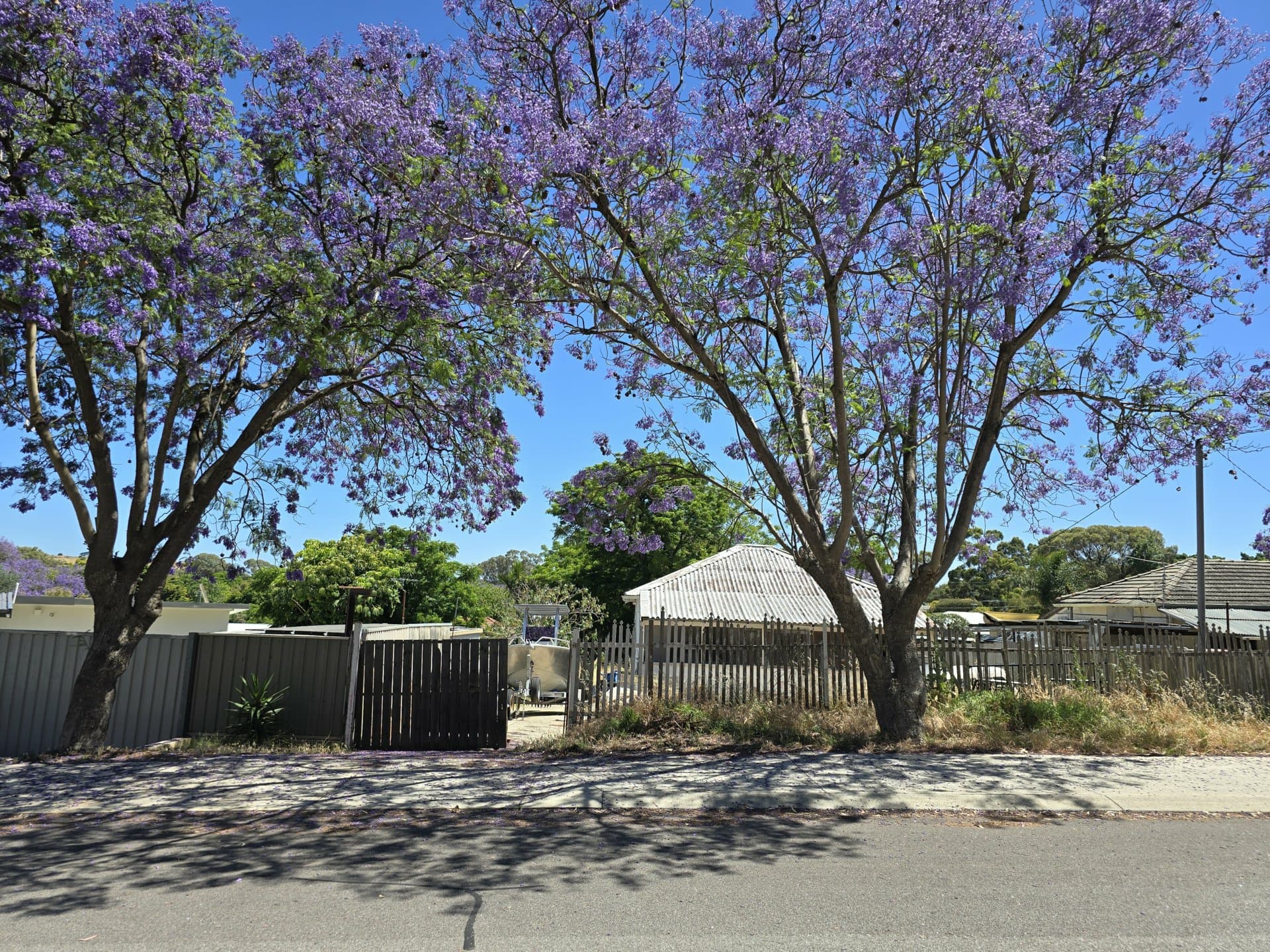 18 Budden Way, Medina, Medina - Thumbnail 2