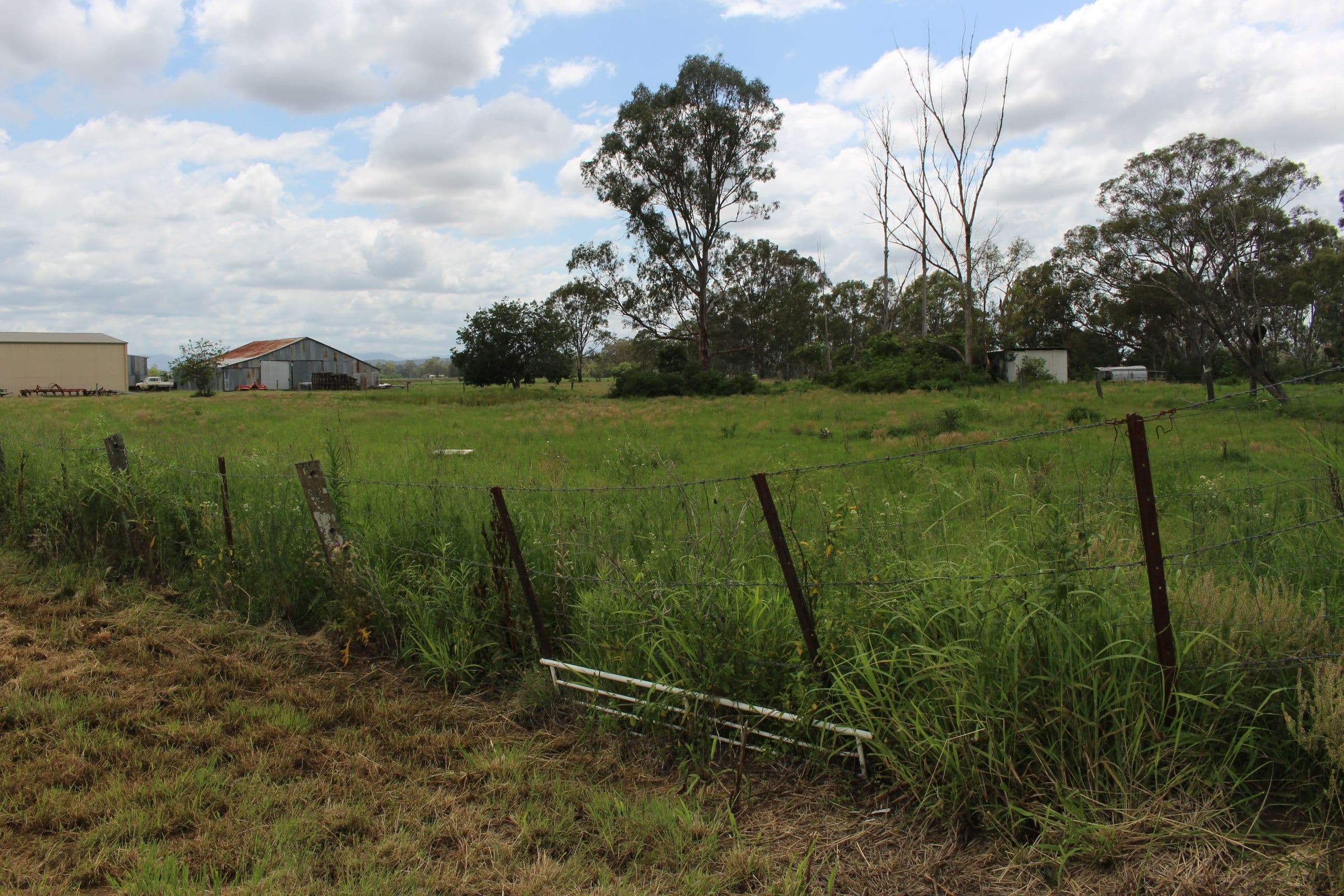 70 Schimkes Lane, Clarendon QLD 4311, Clarendon - Thumbnail 2