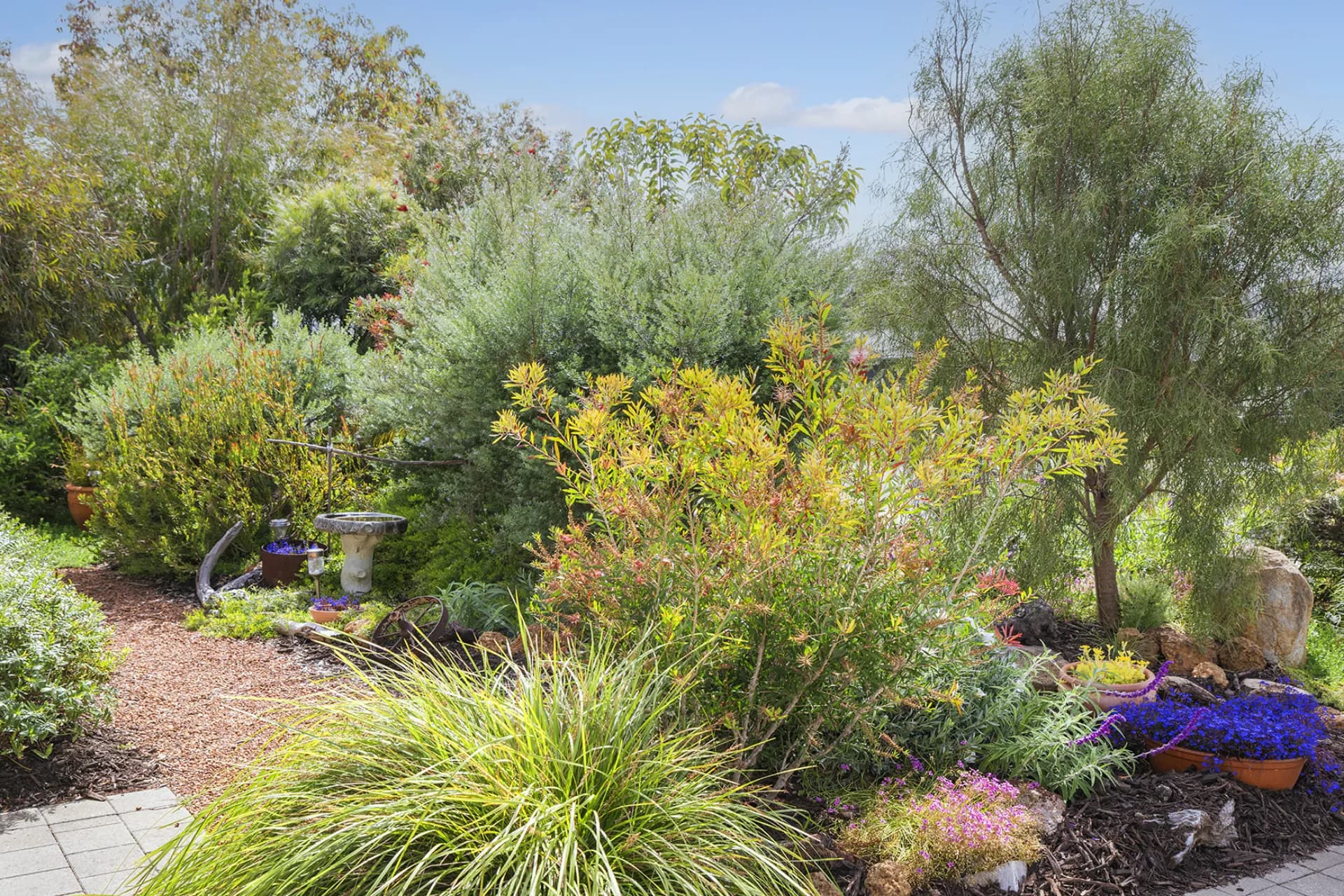 19 Greenwood Avenue, Margaret River., Margaret River - Thumbnail 3
