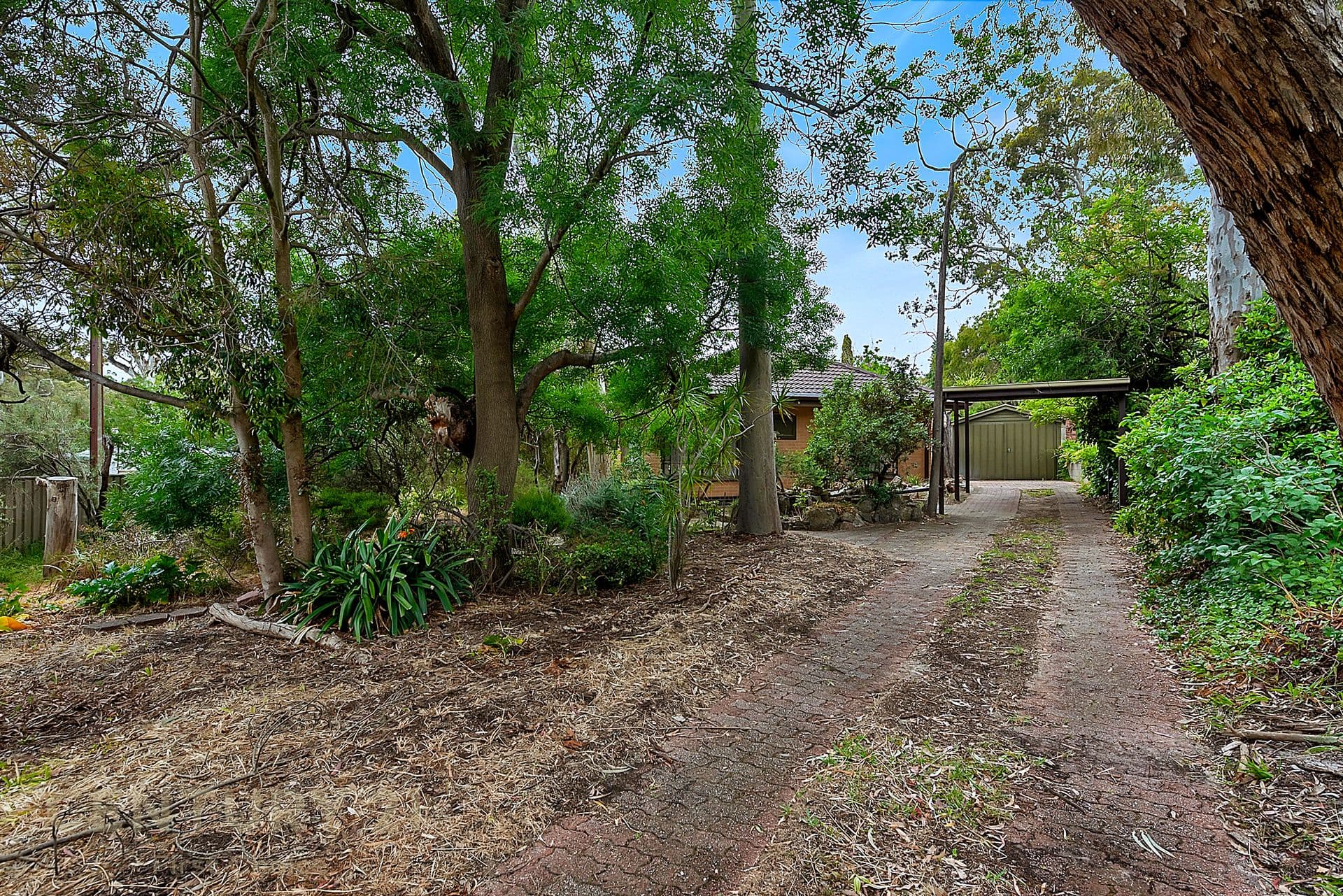 17 Derwent Crescent, Banksia Park, SA, 5091, Banksia Park - Thumbnail 6
