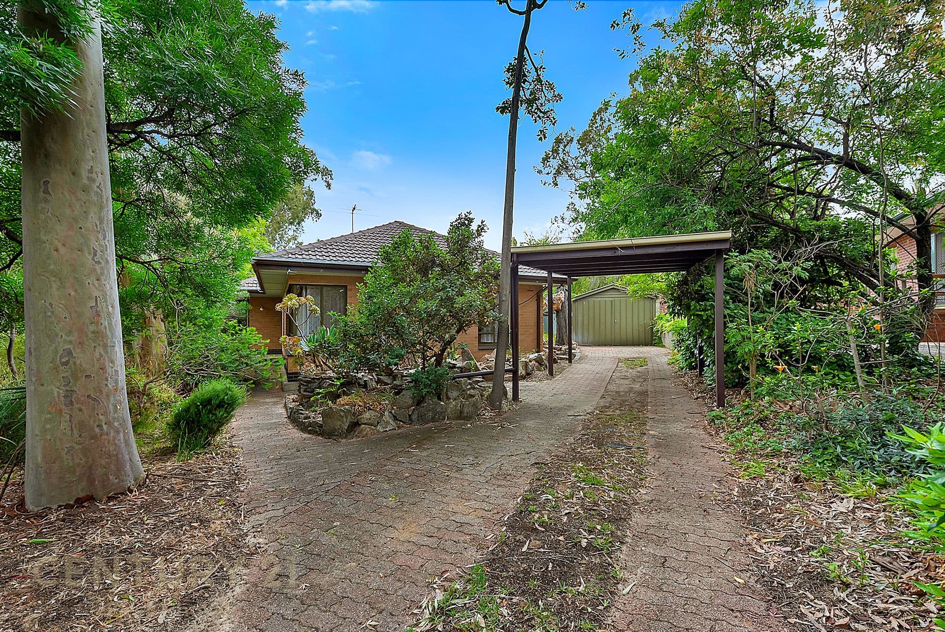 17 Derwent Crescent, Banksia Park, SA, 5091, Banksia Park - Thumbnail 8