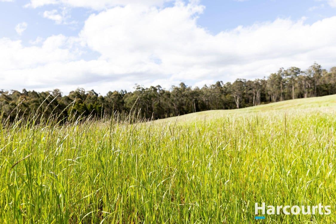 420 Bradys Plain Road, PARKHAM, TAS 7304, Parkham - Thumbnail 3