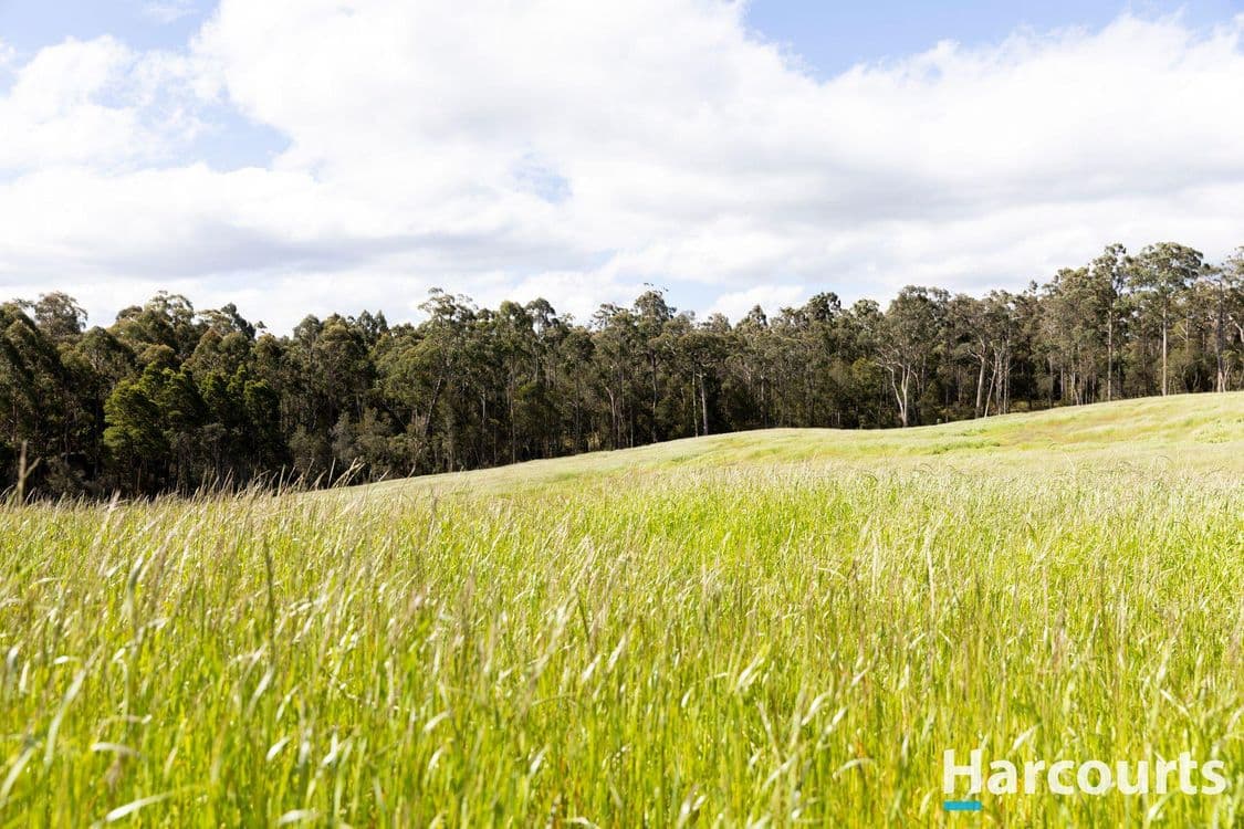 420 Bradys Plain Road, PARKHAM, TAS 7304, Parkham - Thumbnail 4
