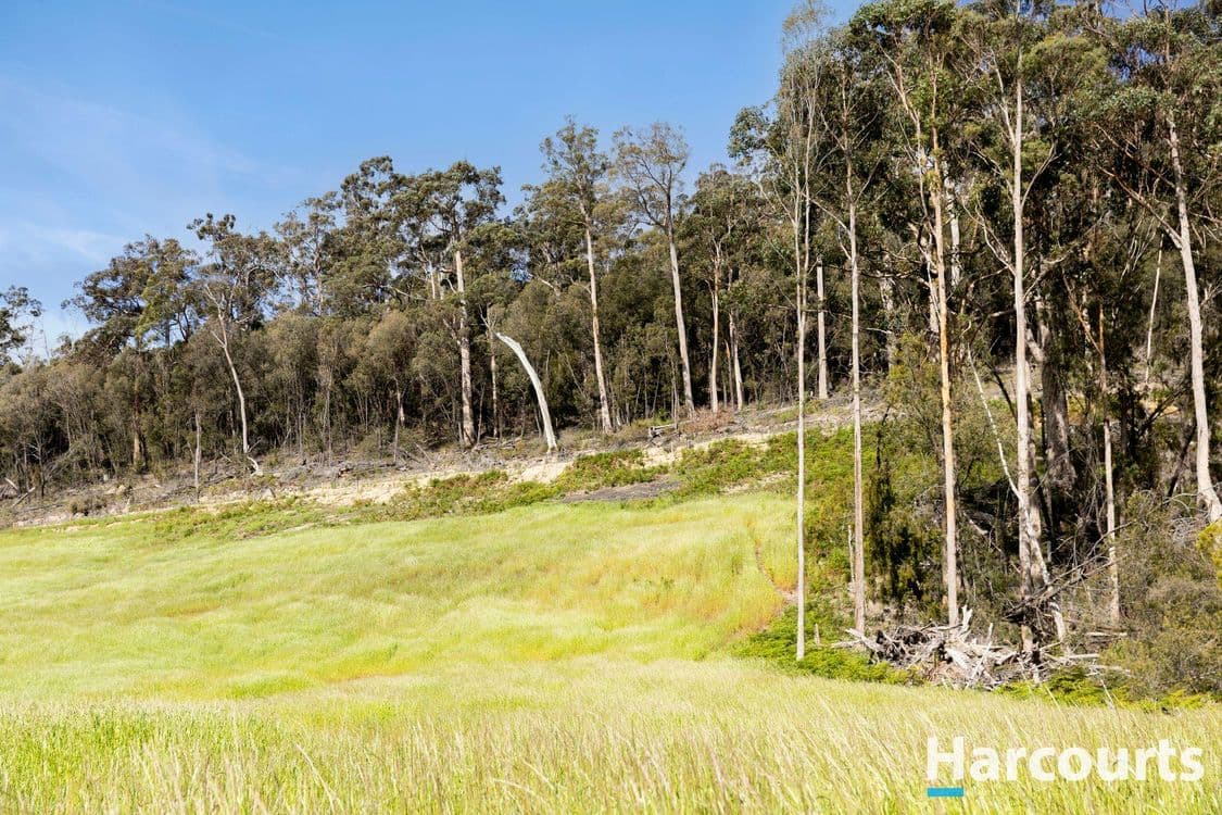 420 Bradys Plain Road, PARKHAM, TAS 7304, Parkham - Thumbnail 7