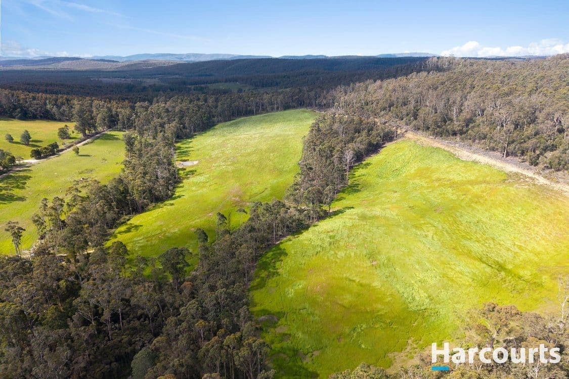420 Bradys Plain Road, PARKHAM, TAS 7304, Parkham - Thumbnail 8