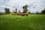 Lot 4 Kammann Road (Upper Warren), MANJIMUP, WA 6258, Manjimup - Image 1
