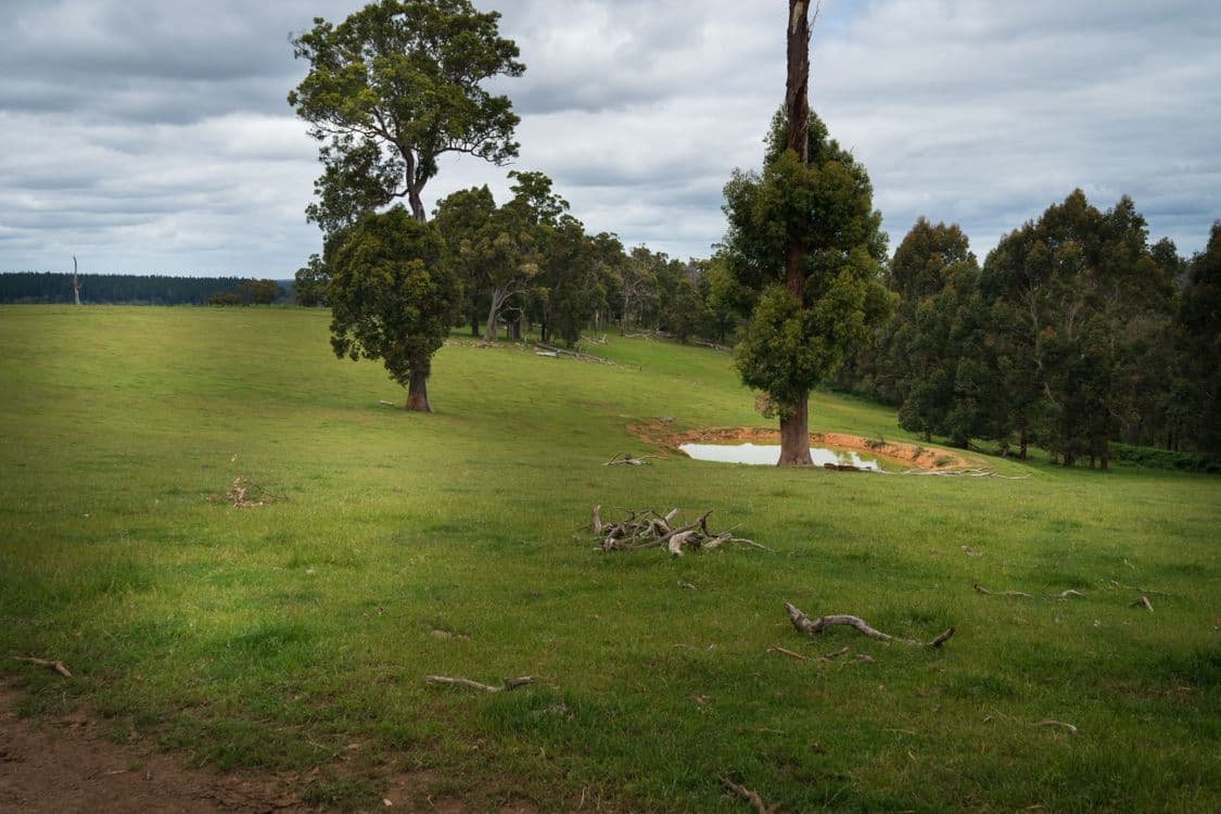 Lot 4 Kammann Road (Upper Warren), MANJIMUP, WA 6258, Manjimup - Thumbnail 4
