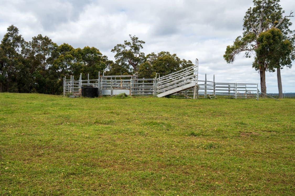 Lot 4 Kammann Road (Upper Warren), MANJIMUP, WA 6258, Manjimup - Thumbnail 5