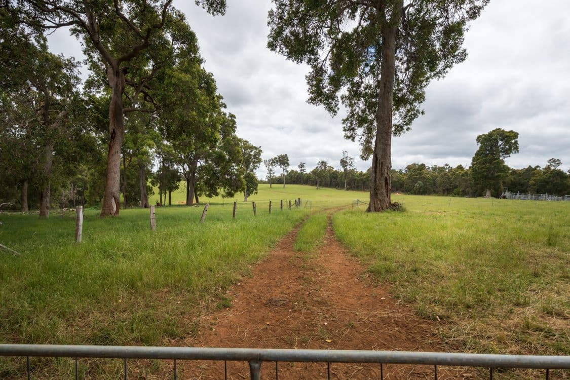Lot 4 Kammann Road (Upper Warren), MANJIMUP, WA 6258, Manjimup - Thumbnail 6