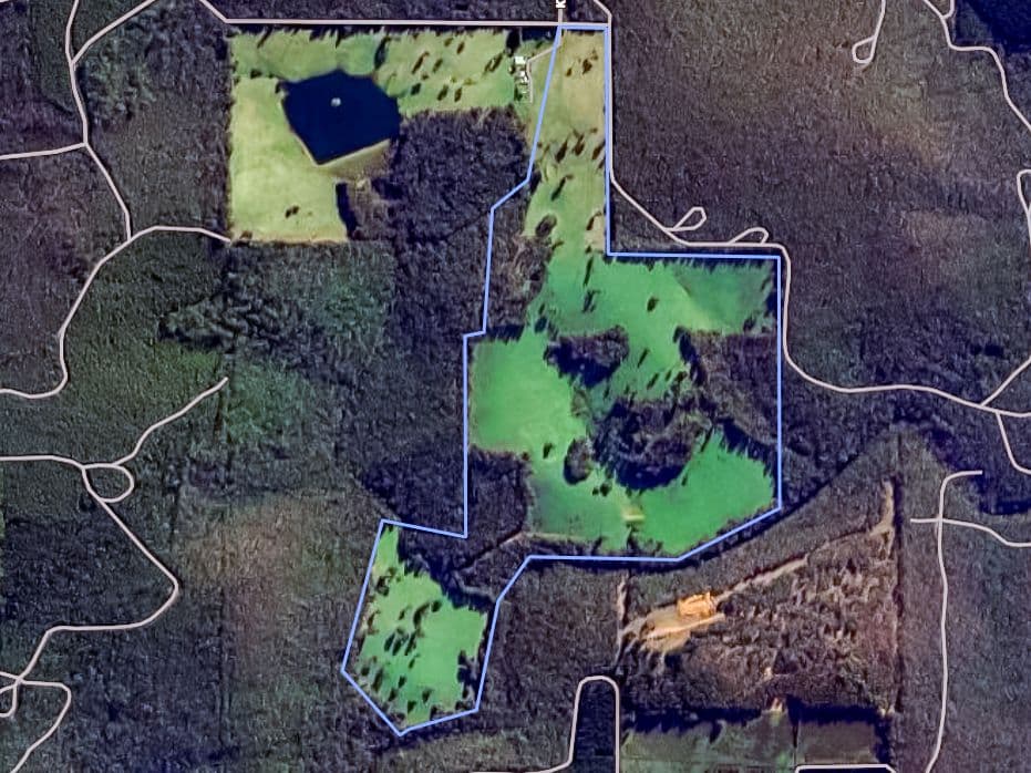Lot 4 Kammann Road (Upper Warren), MANJIMUP, WA 6258, Manjimup - Thumbnail 8