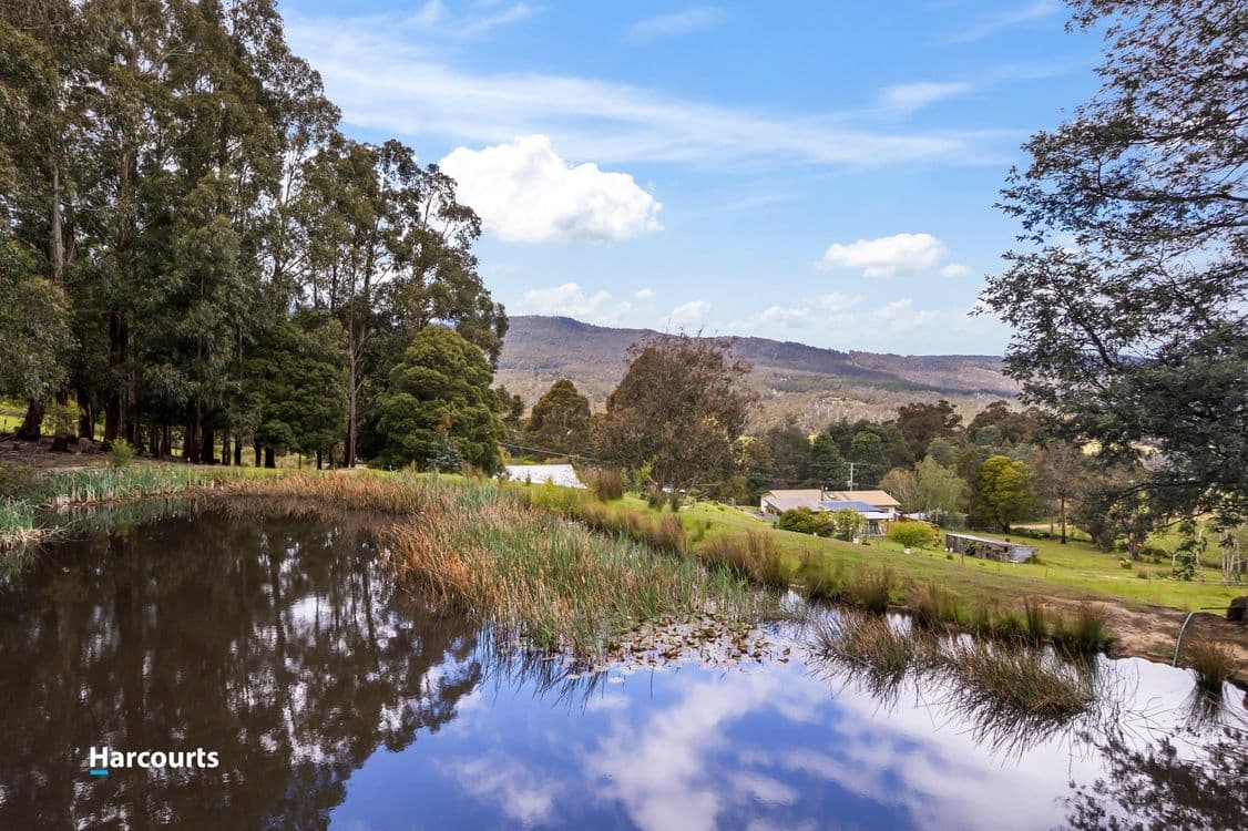 129 Fyfes Road, MOUNTAIN RIVER, TAS 7109, Mountain River - Thumbnail 3