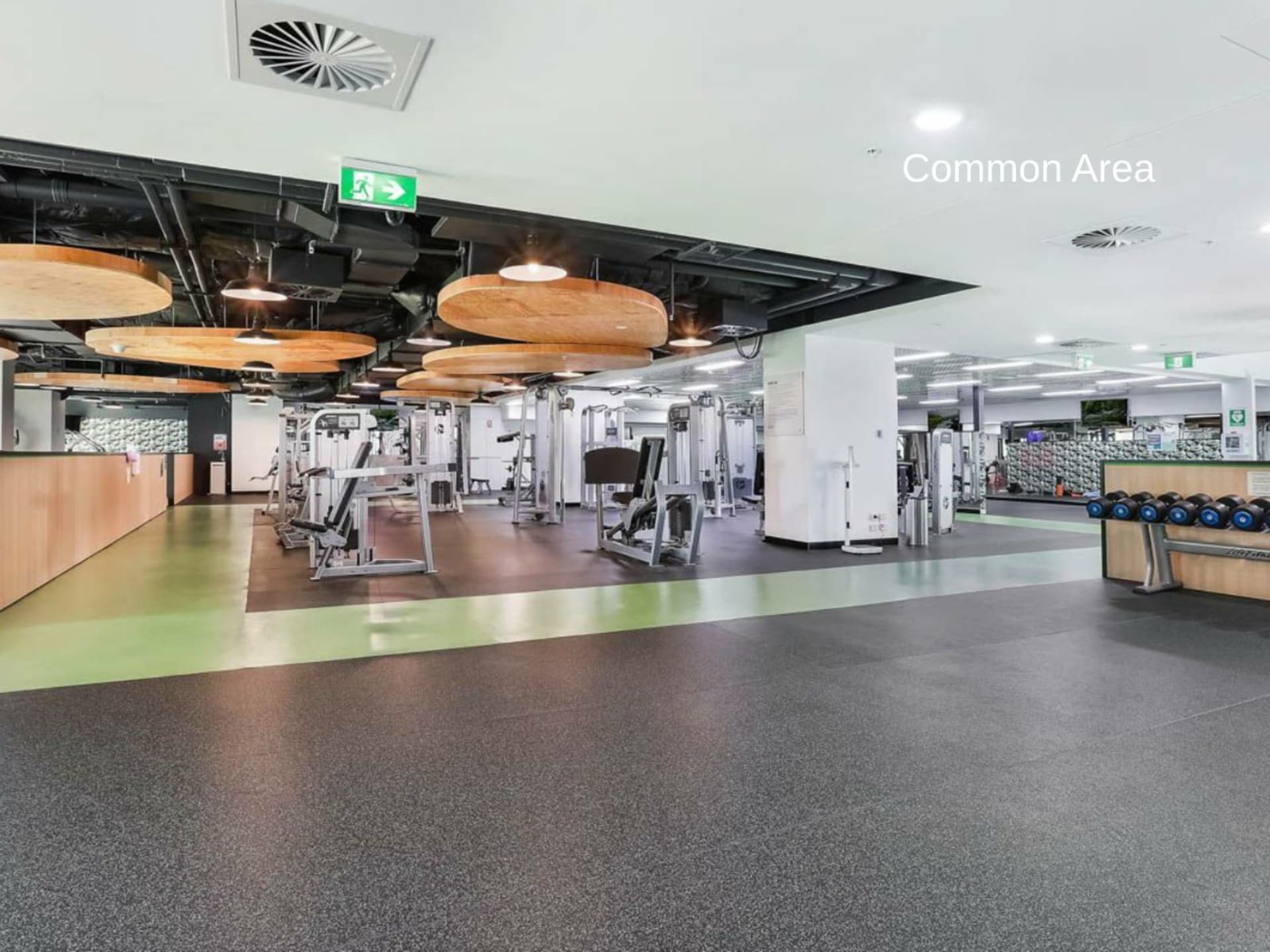 1509/2 Chippendale Way,Chippendale, Chippendale - Thumbnail 5