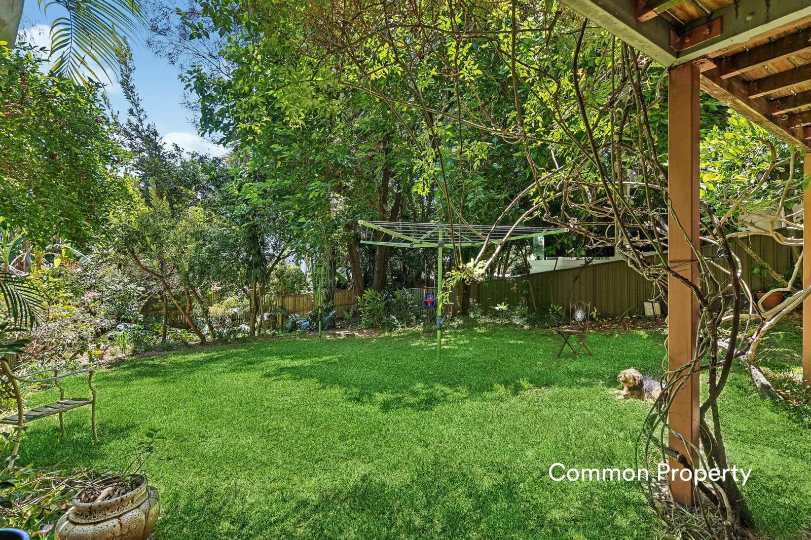 1/27 Dolphin Street,Randwick, Randwick - Thumbnail 3