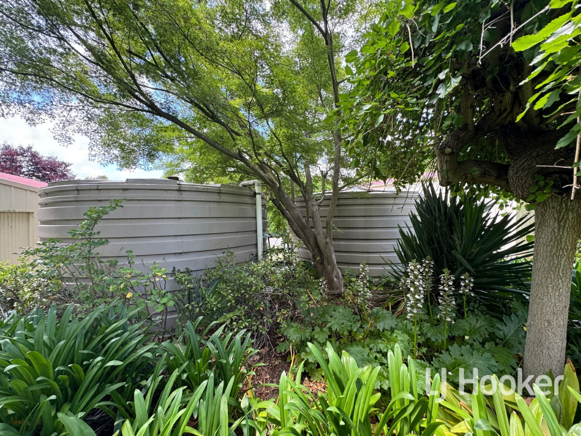 252 Old Bundarra Road, Inverell, Inverell - Image 1