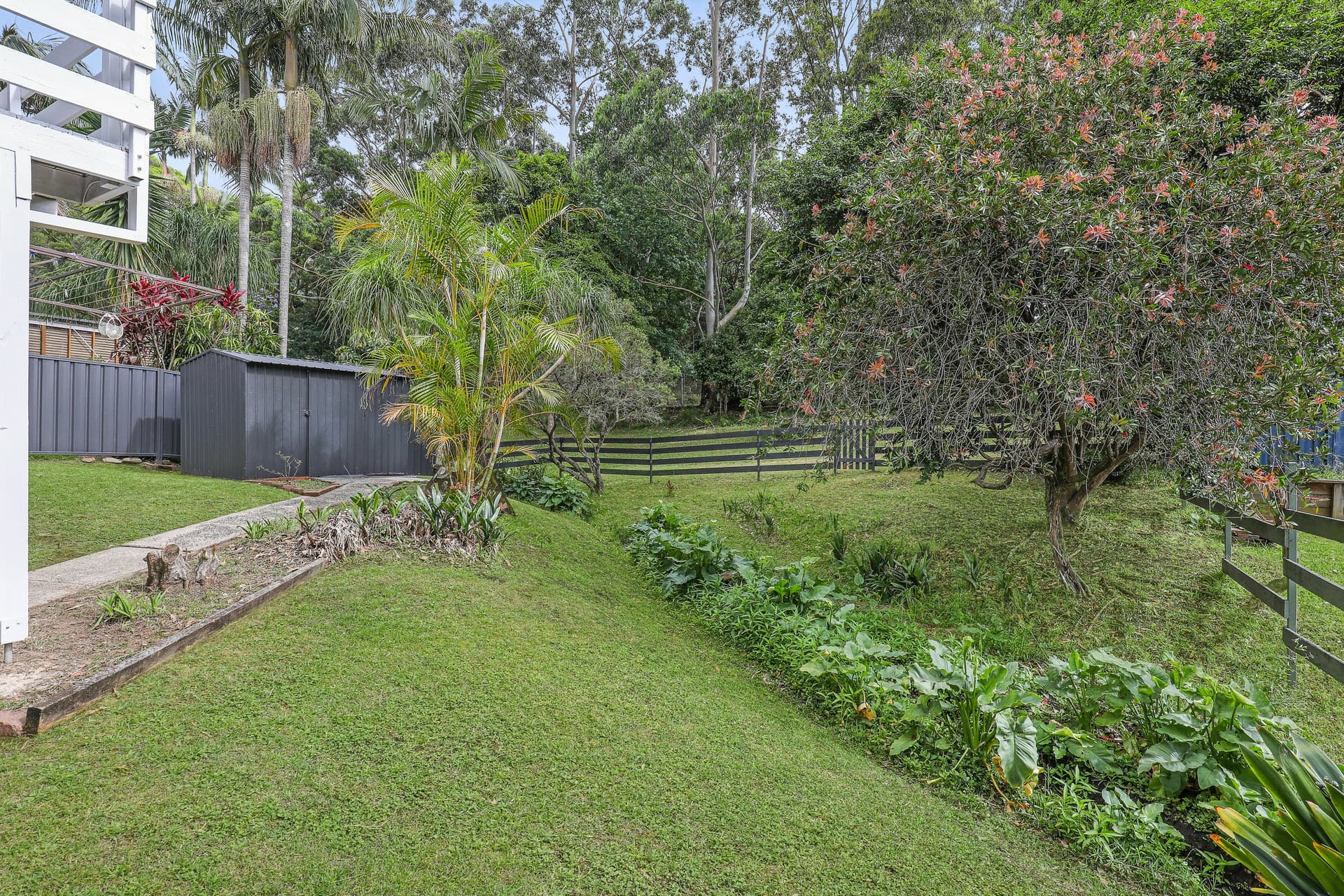 14 Lyndon Street, Corrimal, Corrimal - Thumbnail 8