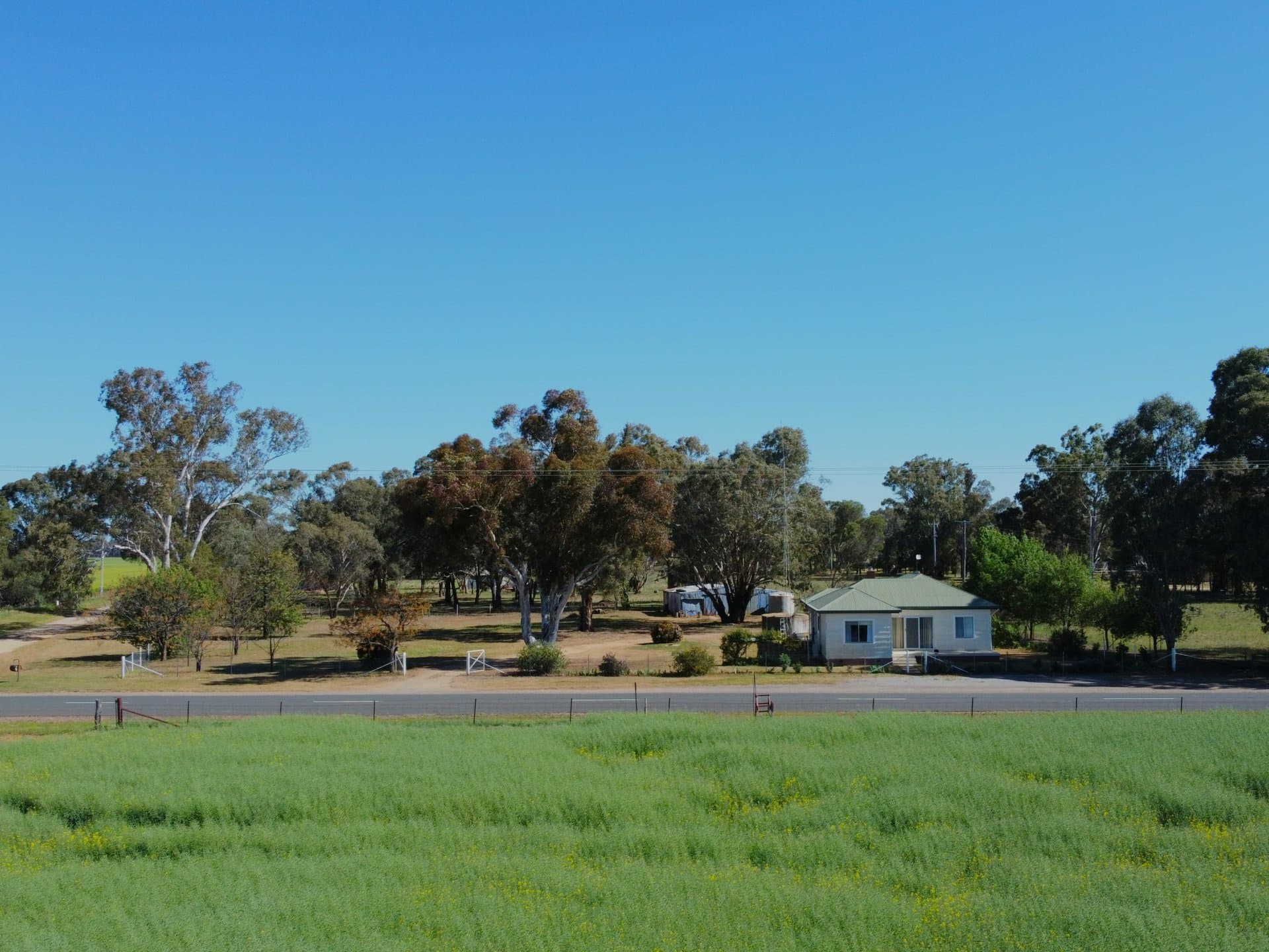 1791 Bribbaree Rd, Thuddungra Via, Young, Thuddungra - Thumbnail 2