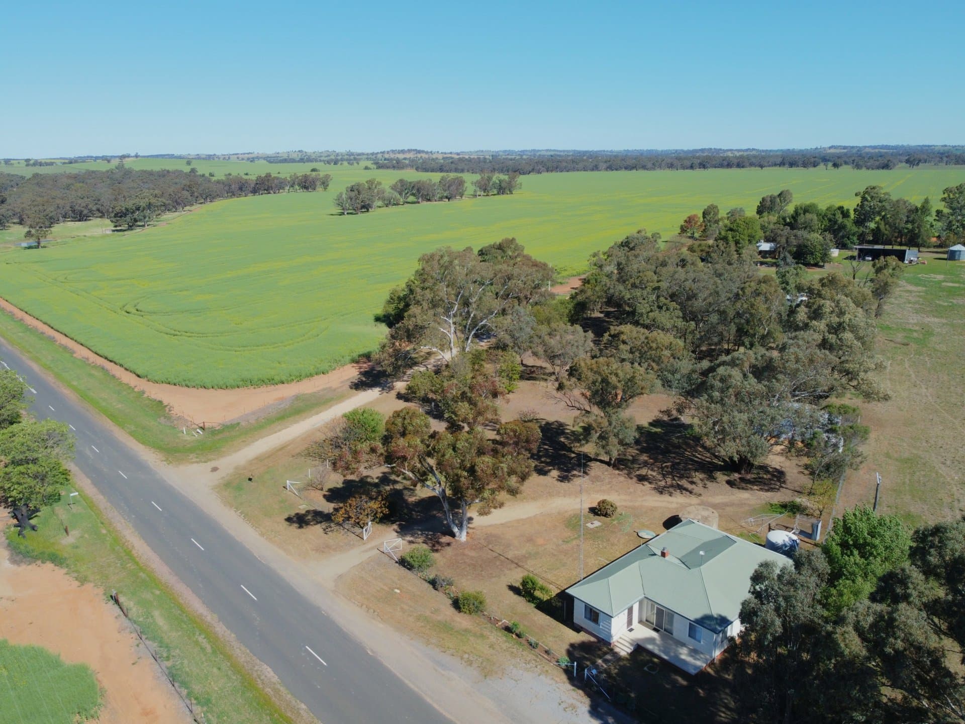1791 Bribbaree Rd, Thuddungra Via, Young, Thuddungra - Thumbnail 3