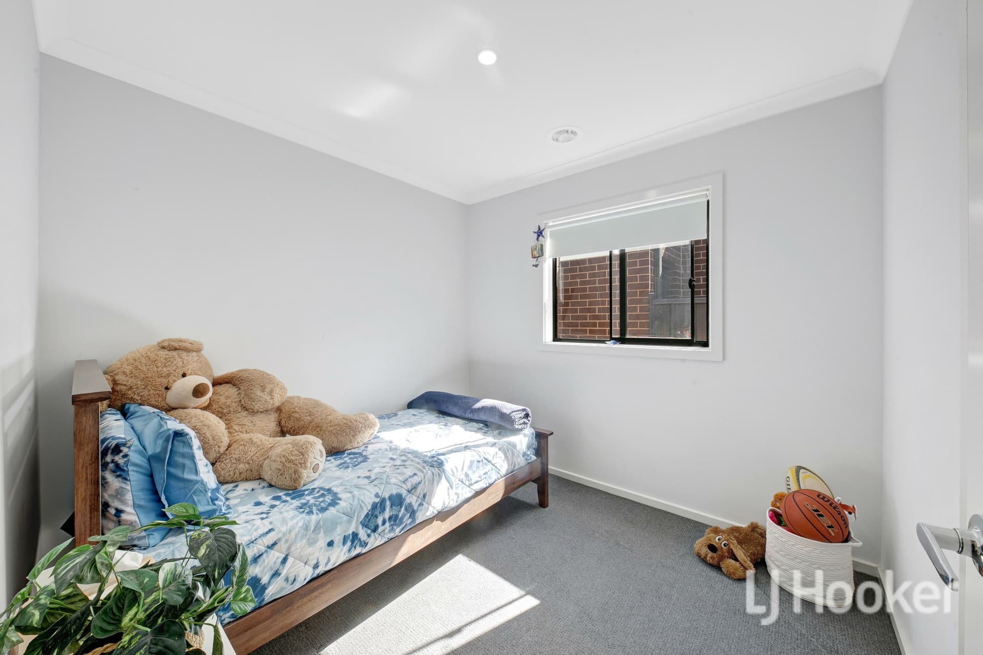 6 Cottrell Street, Weir Views, Weir Views - Thumbnail 5