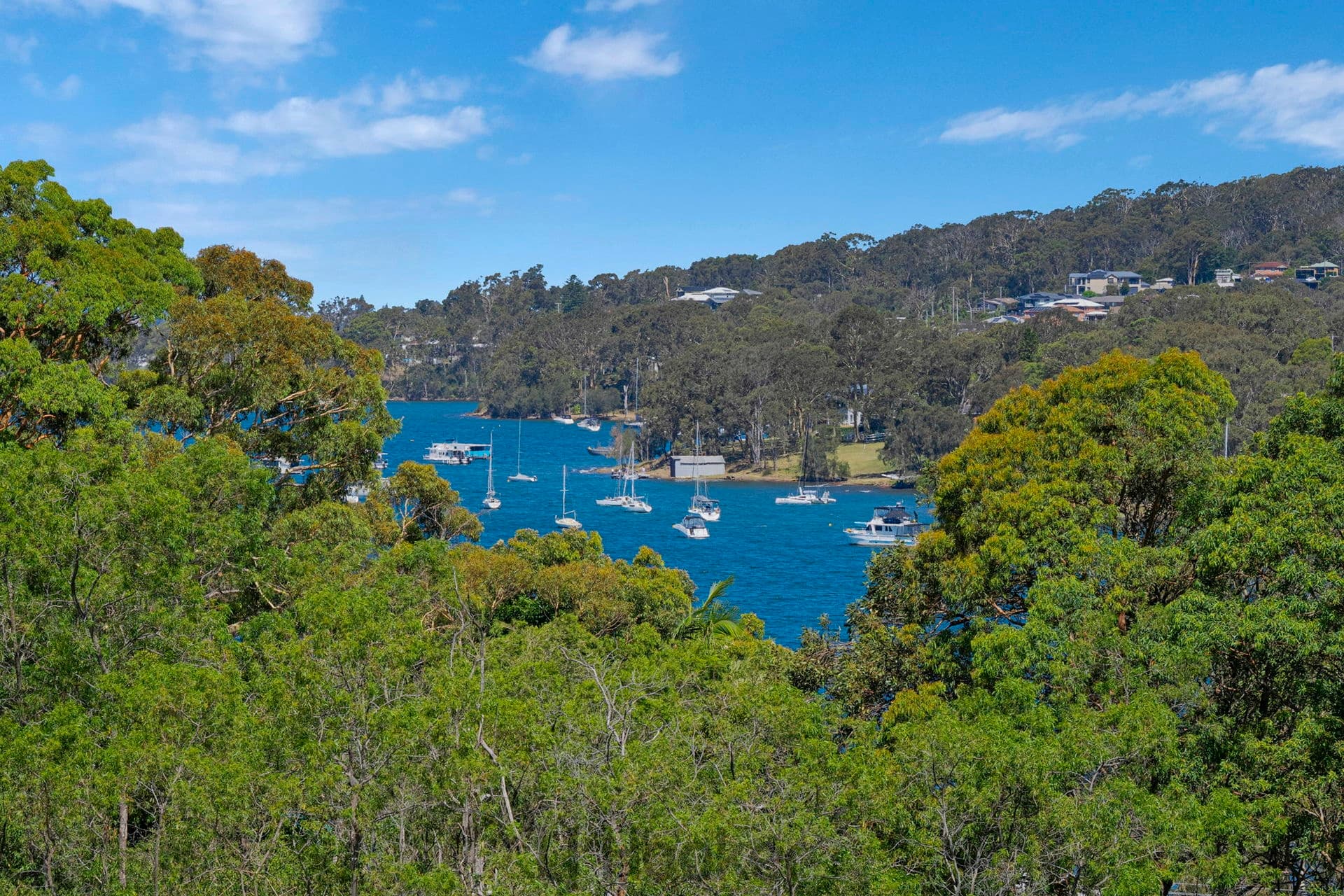 3 Park Street, Arcadia Vale, Arcadia Vale - Thumbnail 4