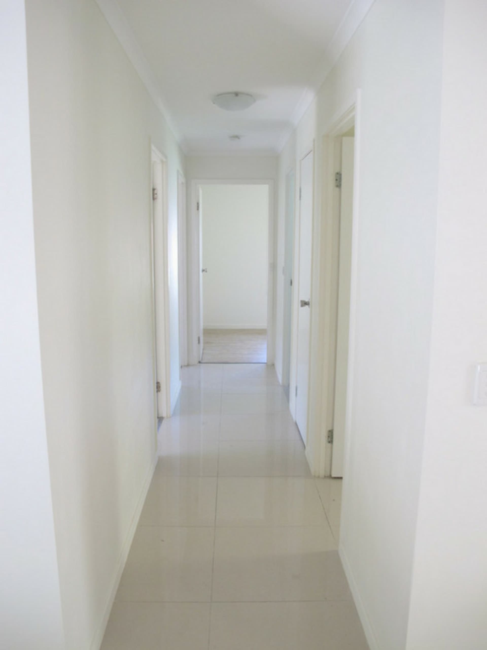 8 Medellin Place, Nerang, Nerang - Thumbnail 8