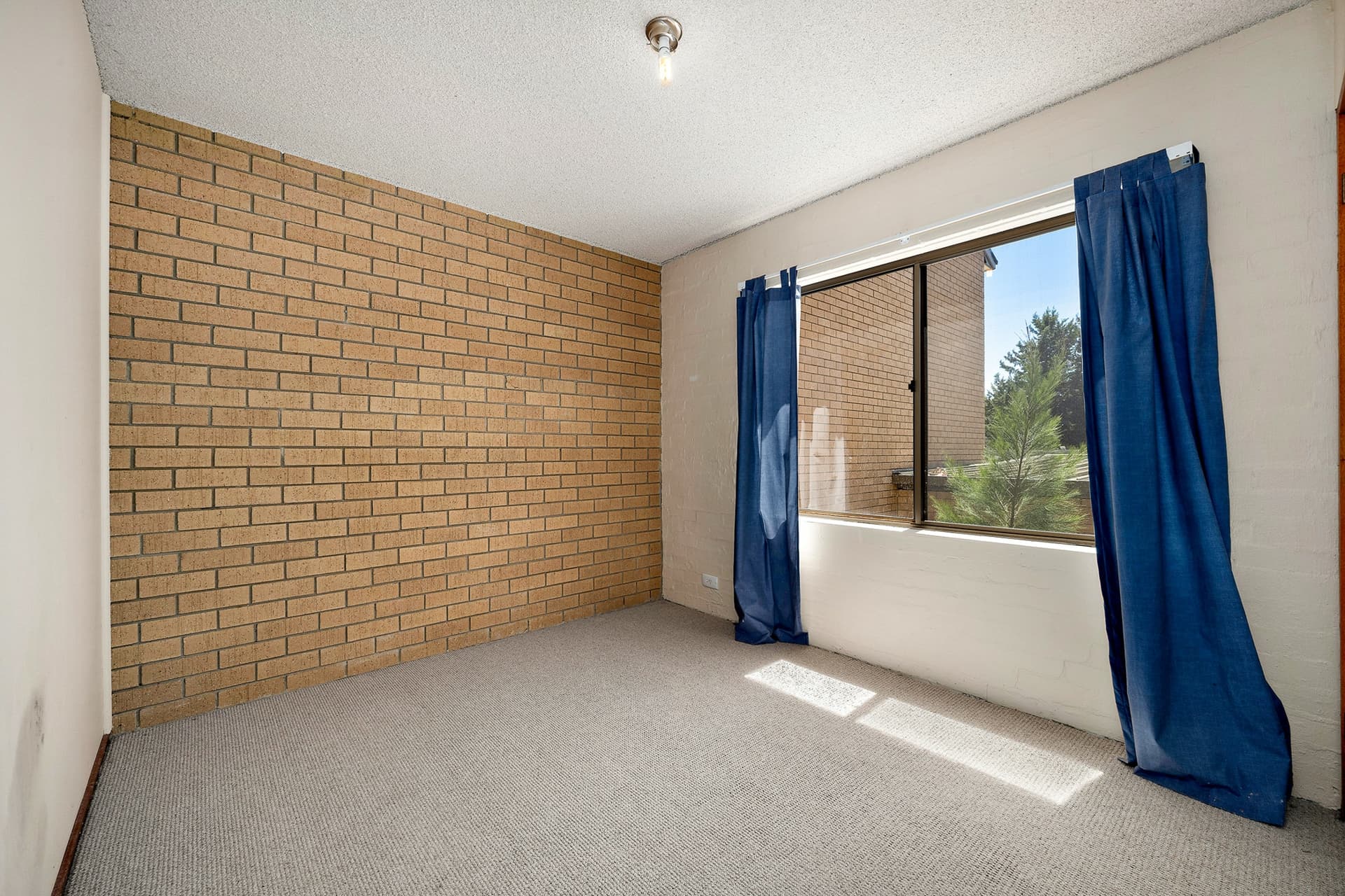33/10 Wilkins Street, Mawson, Mawson - Thumbnail 8