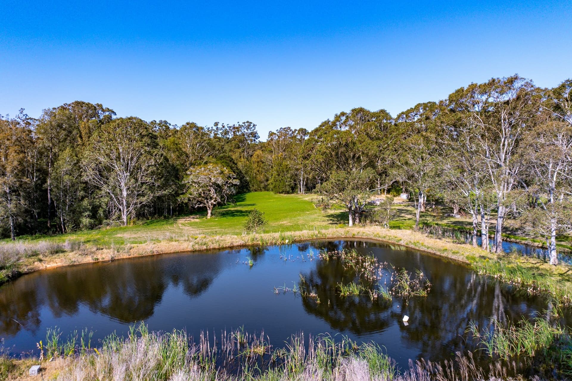 91 Jersey Road, Bringelly, Bringelly - Thumbnail 7