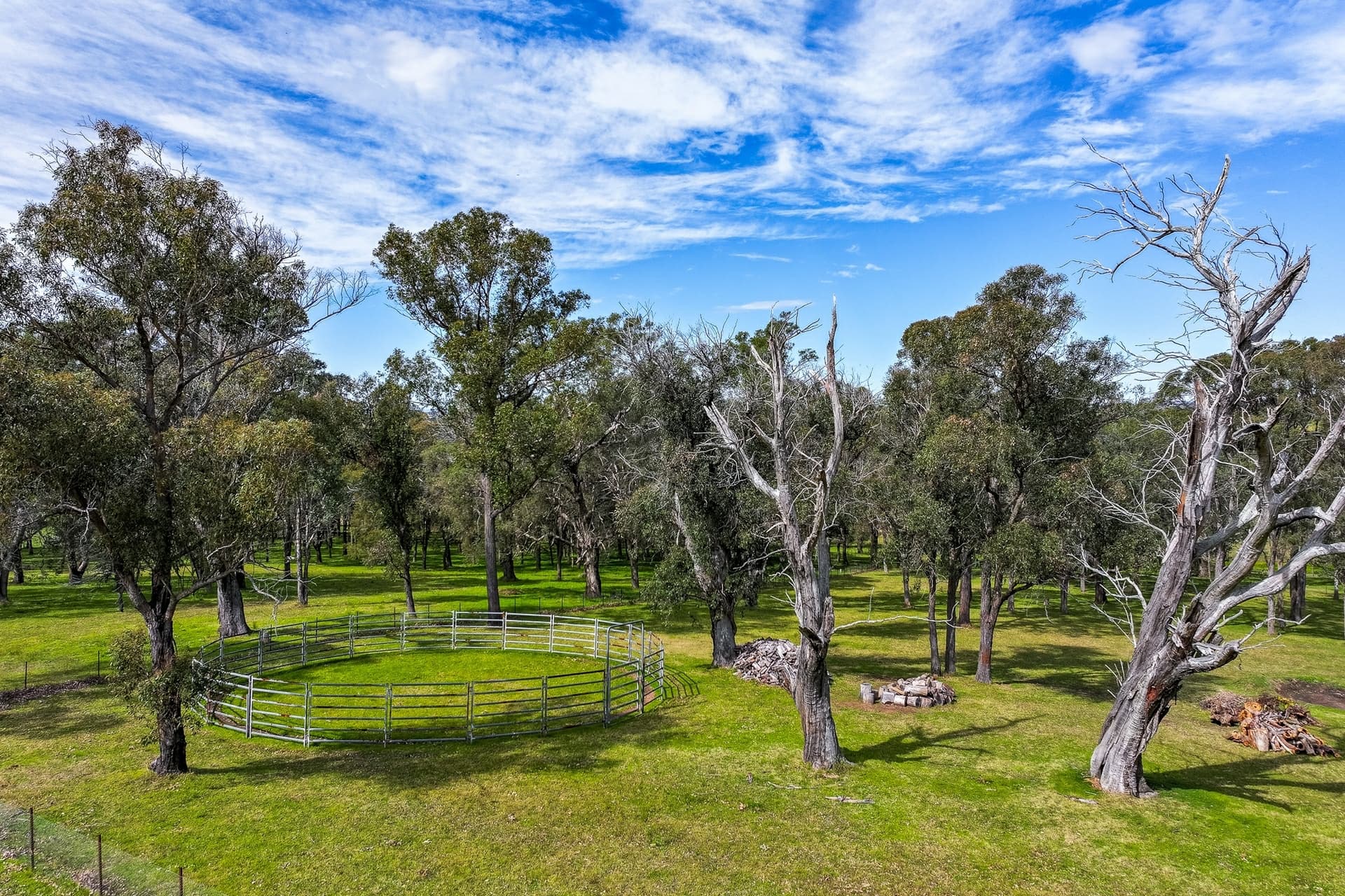 83 Wanawong Street, Belimbla Park, Belimbla Park - Thumbnail 5