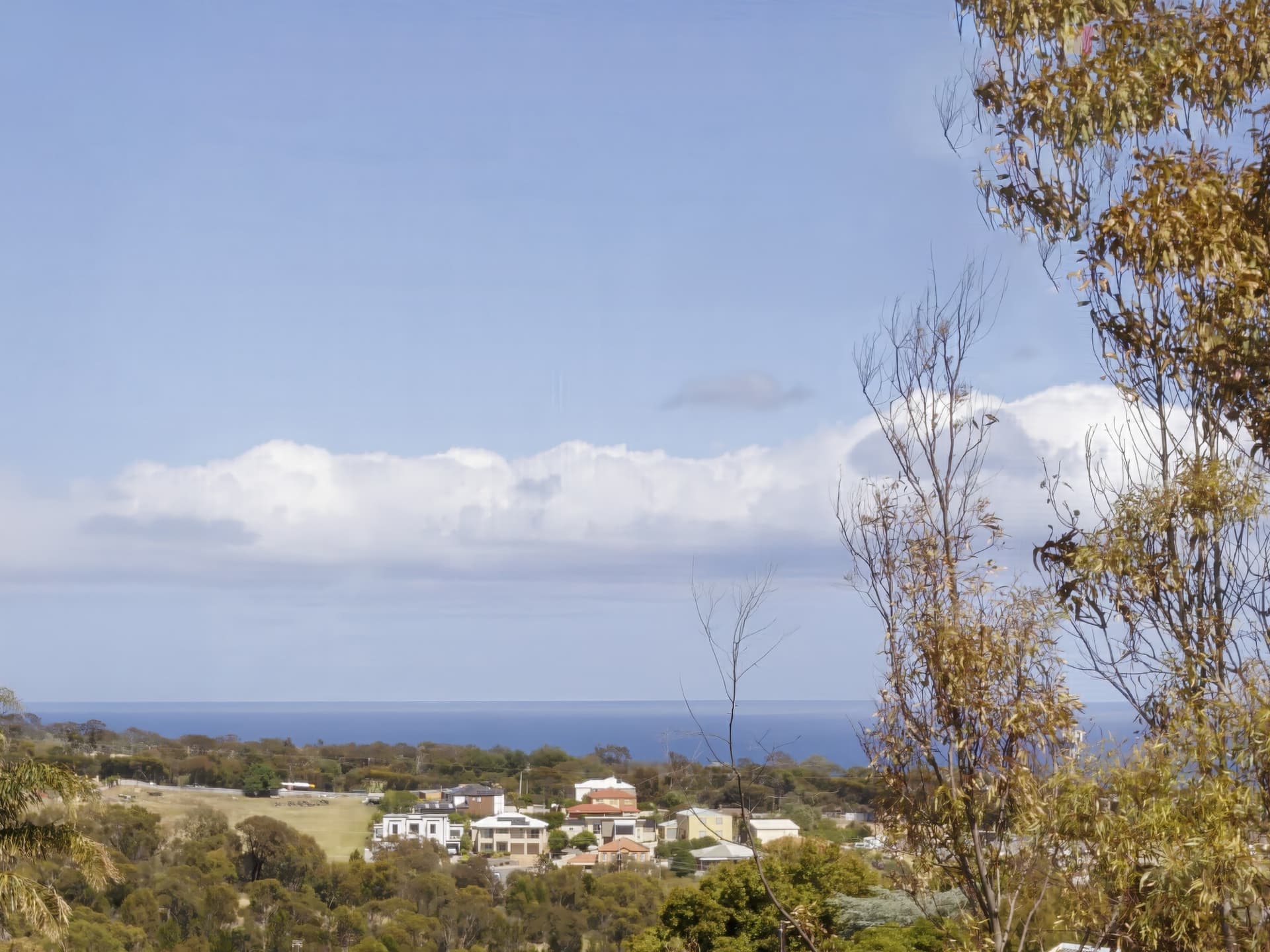 60 Fowler Street, Seaview Downs, Seaview Downs - Thumbnail 3