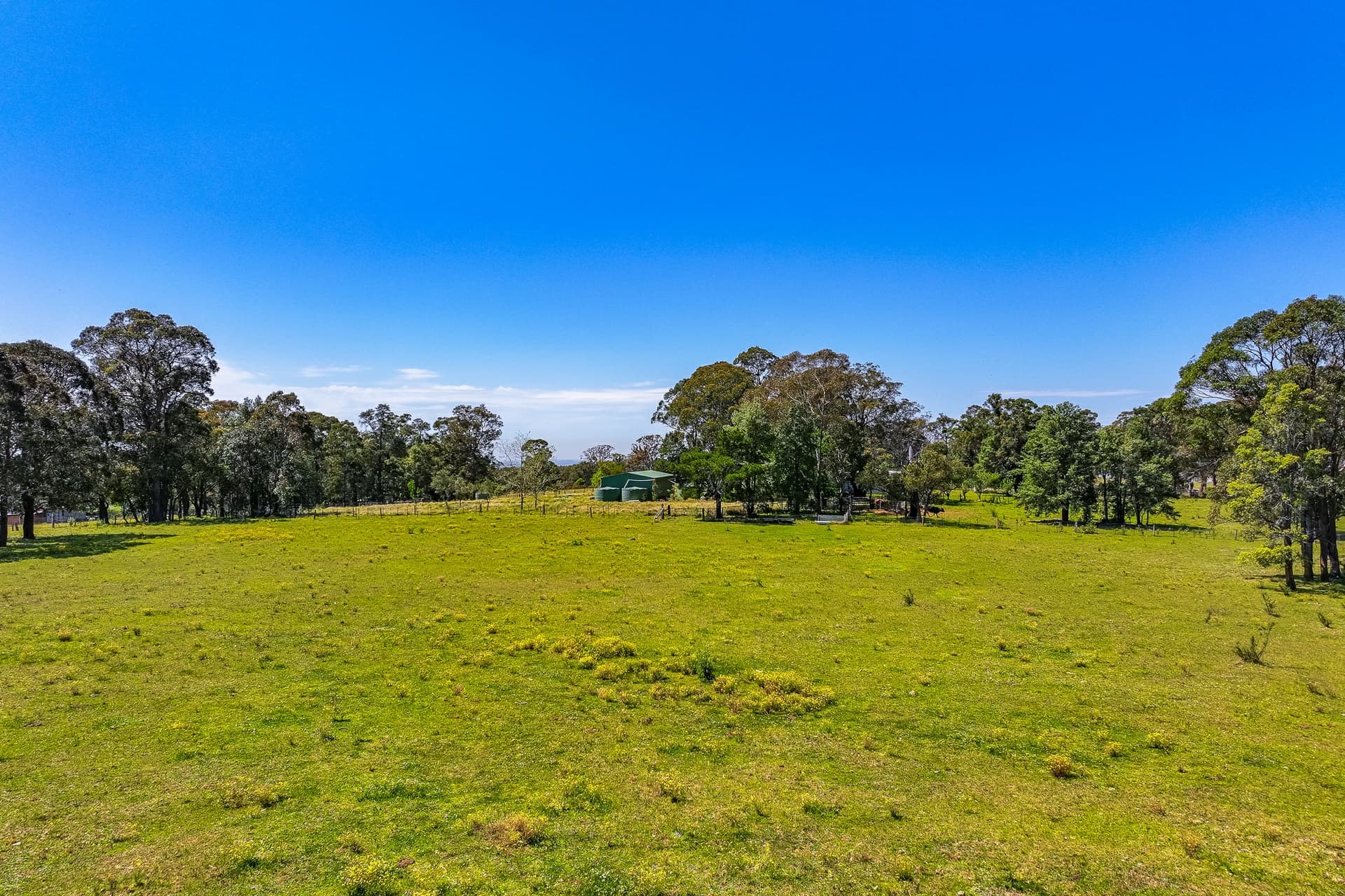 745 Ridge Road, Oakdale, Oakdale - Thumbnail 6
