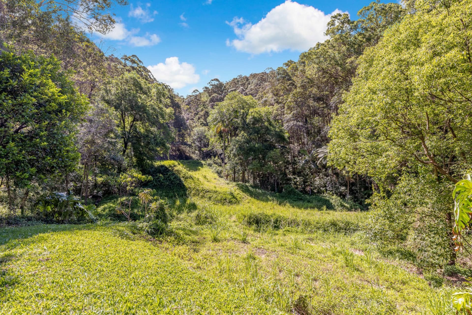 224 King Road, Mooloolah Valley, Mooloolah Valley - Thumbnail 3