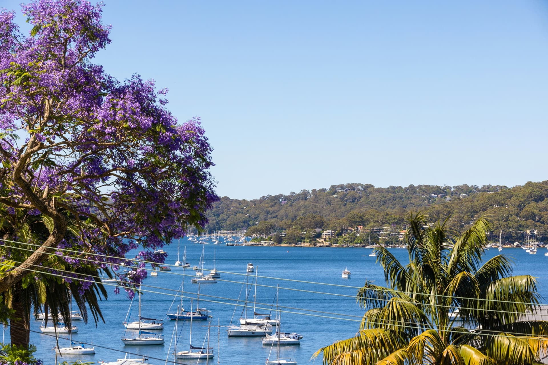 19 Bakers Road, Church Point, Church Point - Image 1