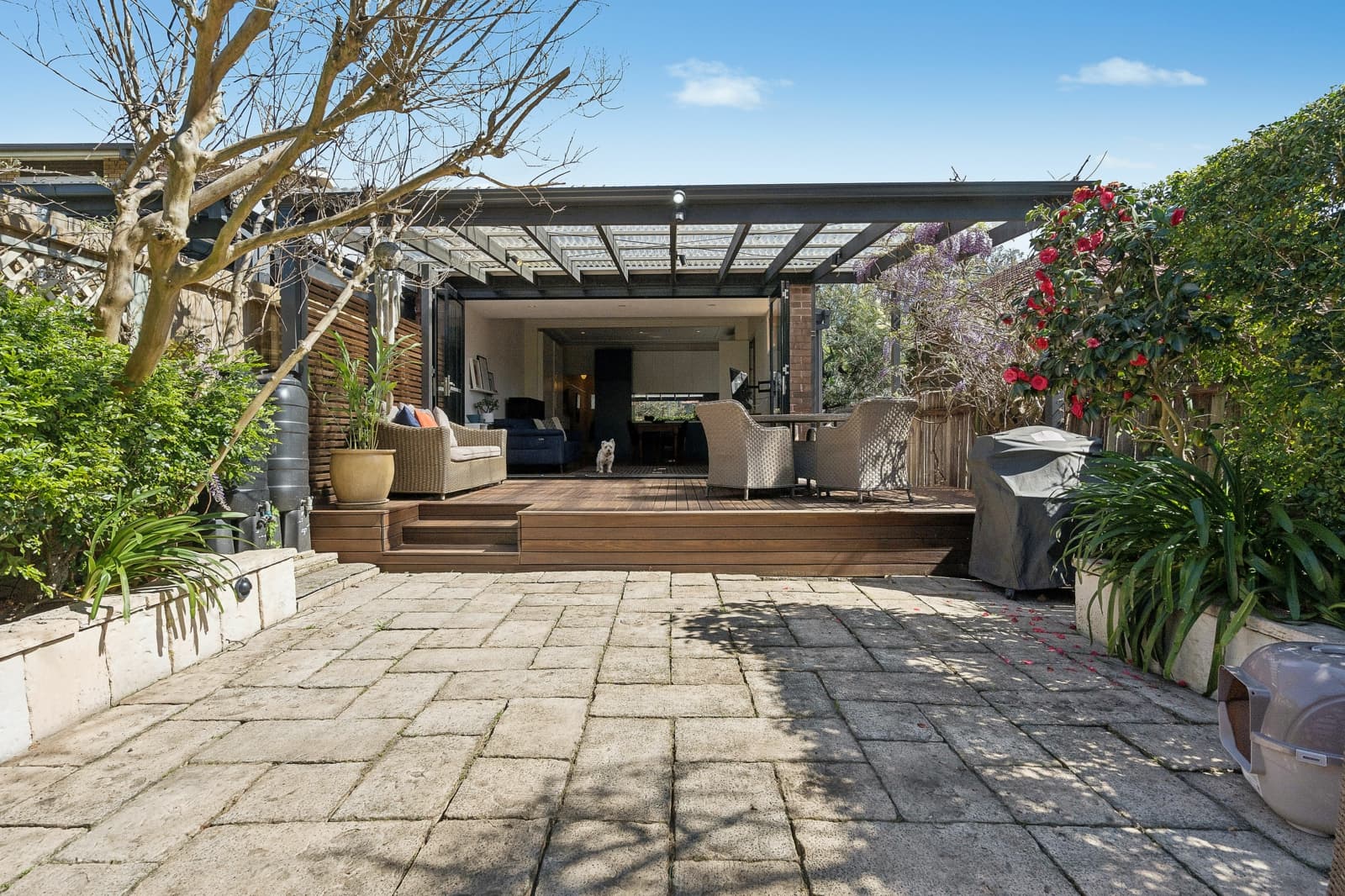 185A Alt Street,Haberfield, Haberfield - Thumbnail 7