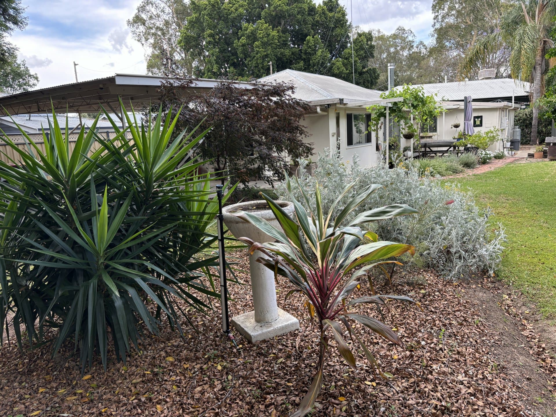 8 Frideswide St, Goondiwindi, Goondiwindi - Thumbnail 5