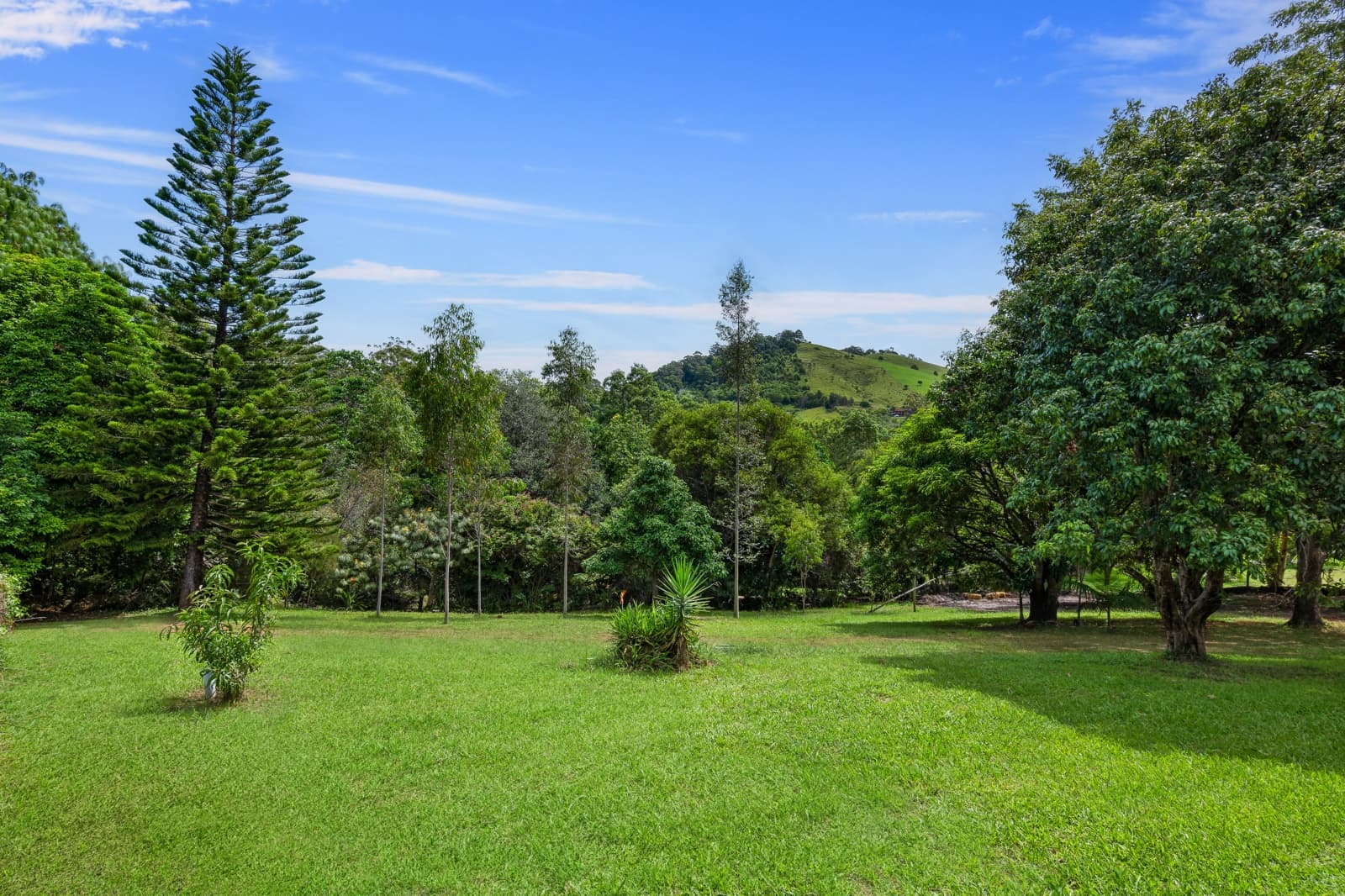 8 SeaBreeze Place,Boambee East, Boambee East - Thumbnail 2