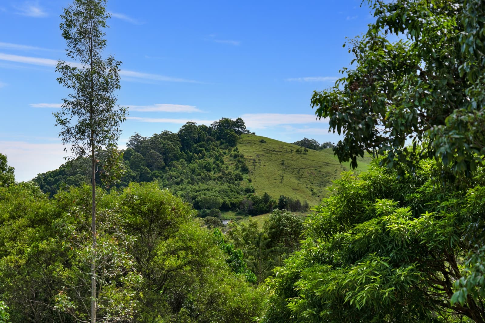 8 SeaBreeze Place,Boambee East, Boambee East - Thumbnail 4
