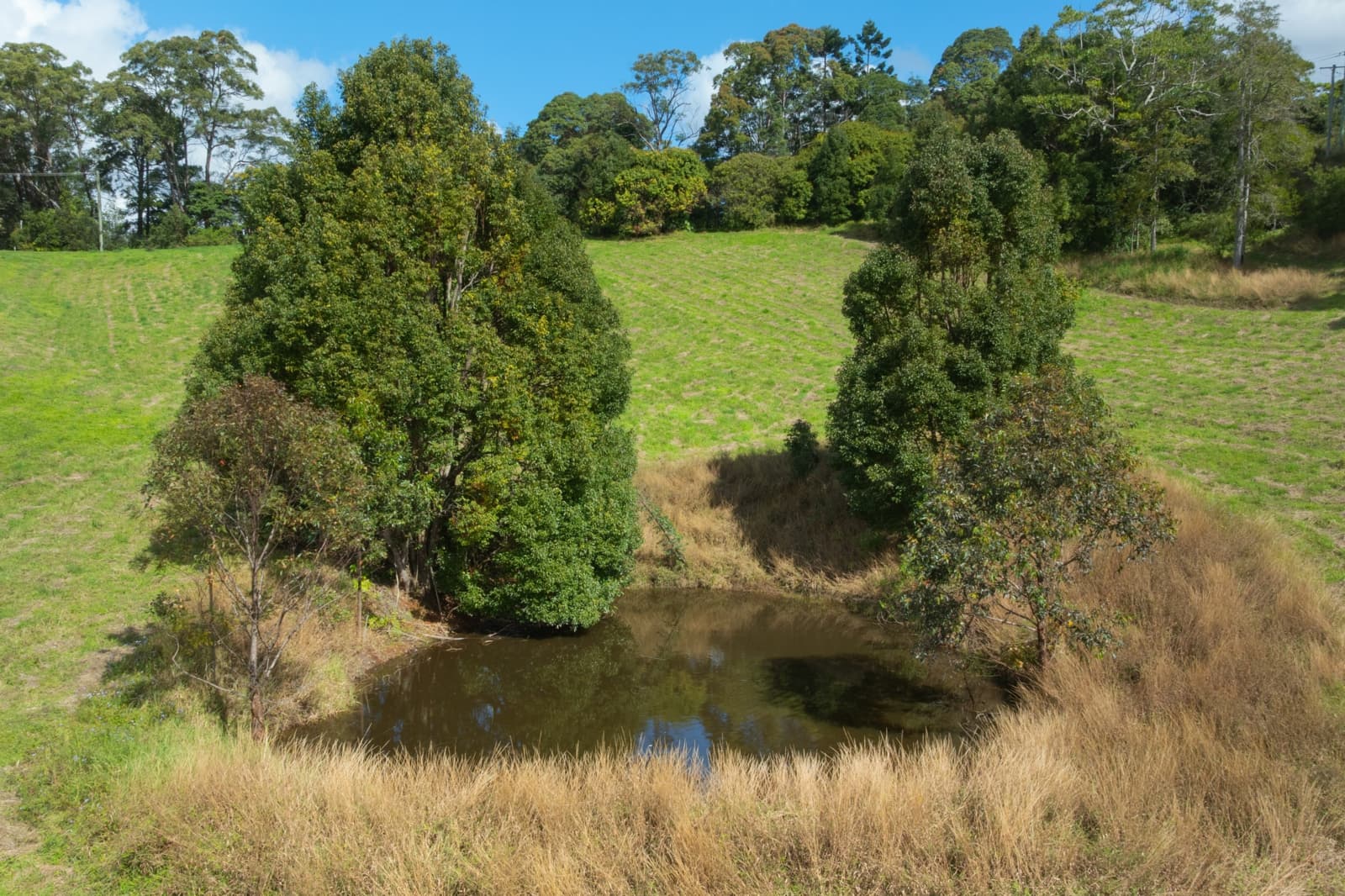 63 Kingsvale Road,Myocum, Myocum - Thumbnail 7