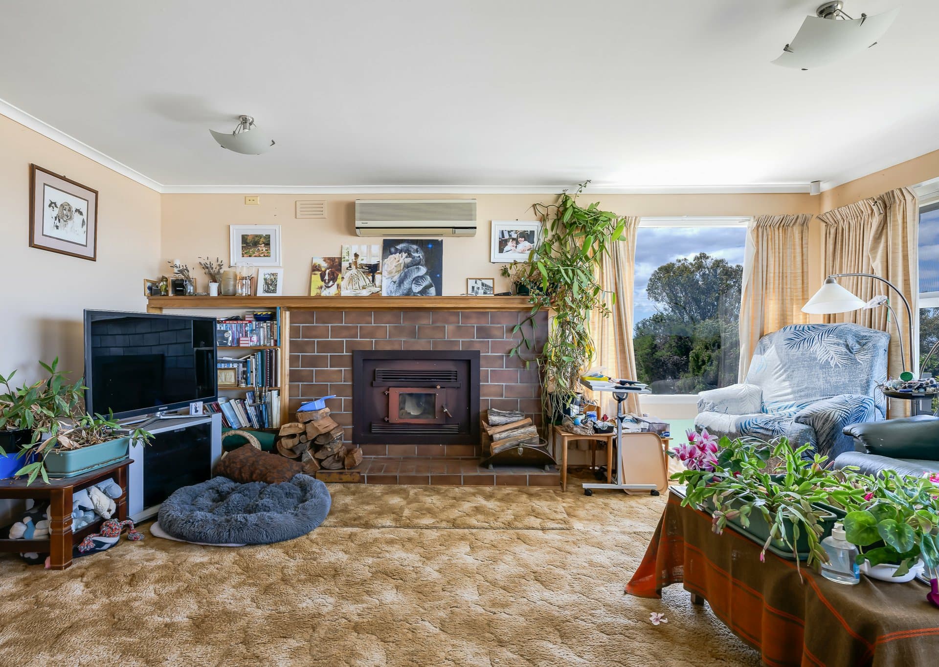 9 George Street, Scamander, Scamander - Thumbnail 5