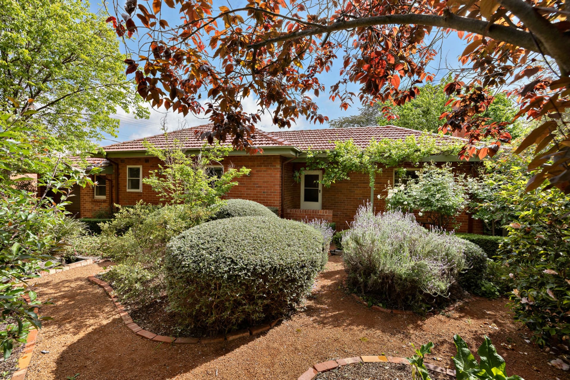 17 Duffy Street, Ainslie, Ainslie - Thumbnail 4
