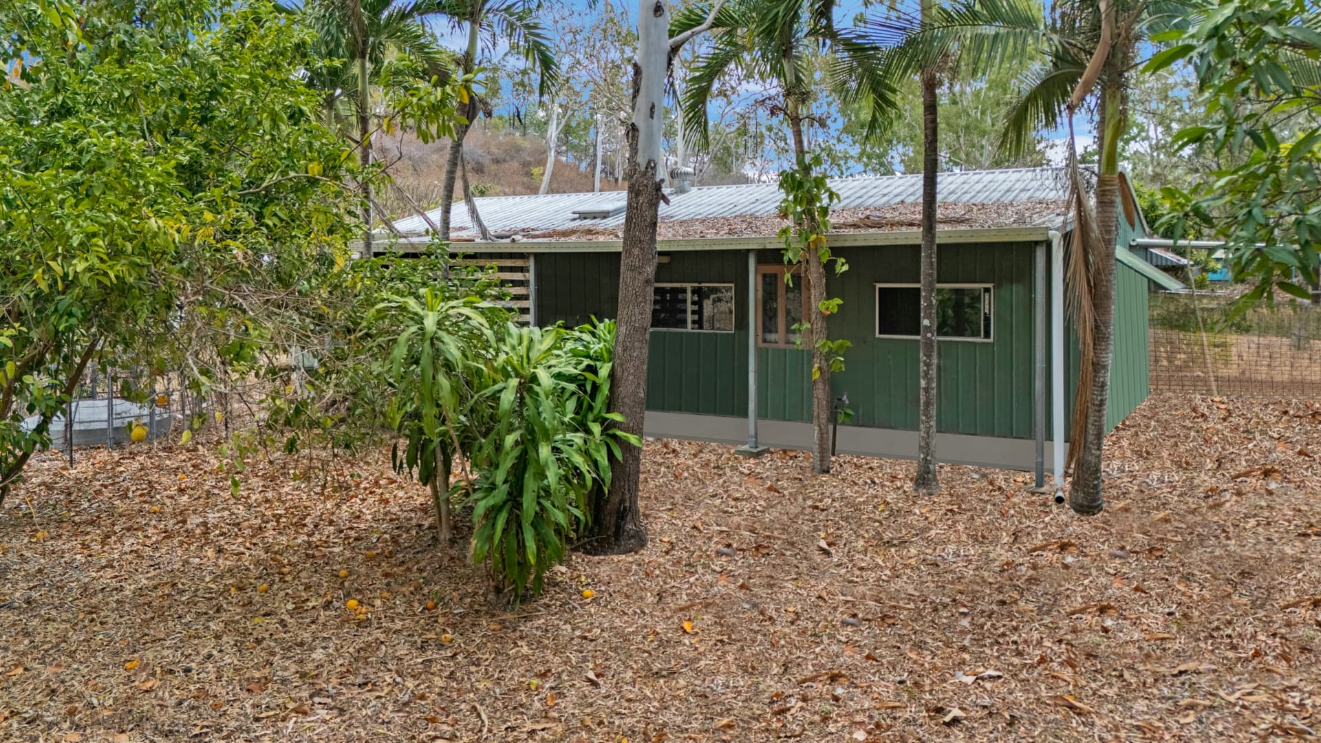 114 Alligator Creek Road, Alligator Creek, Alligator Creek - Image 1