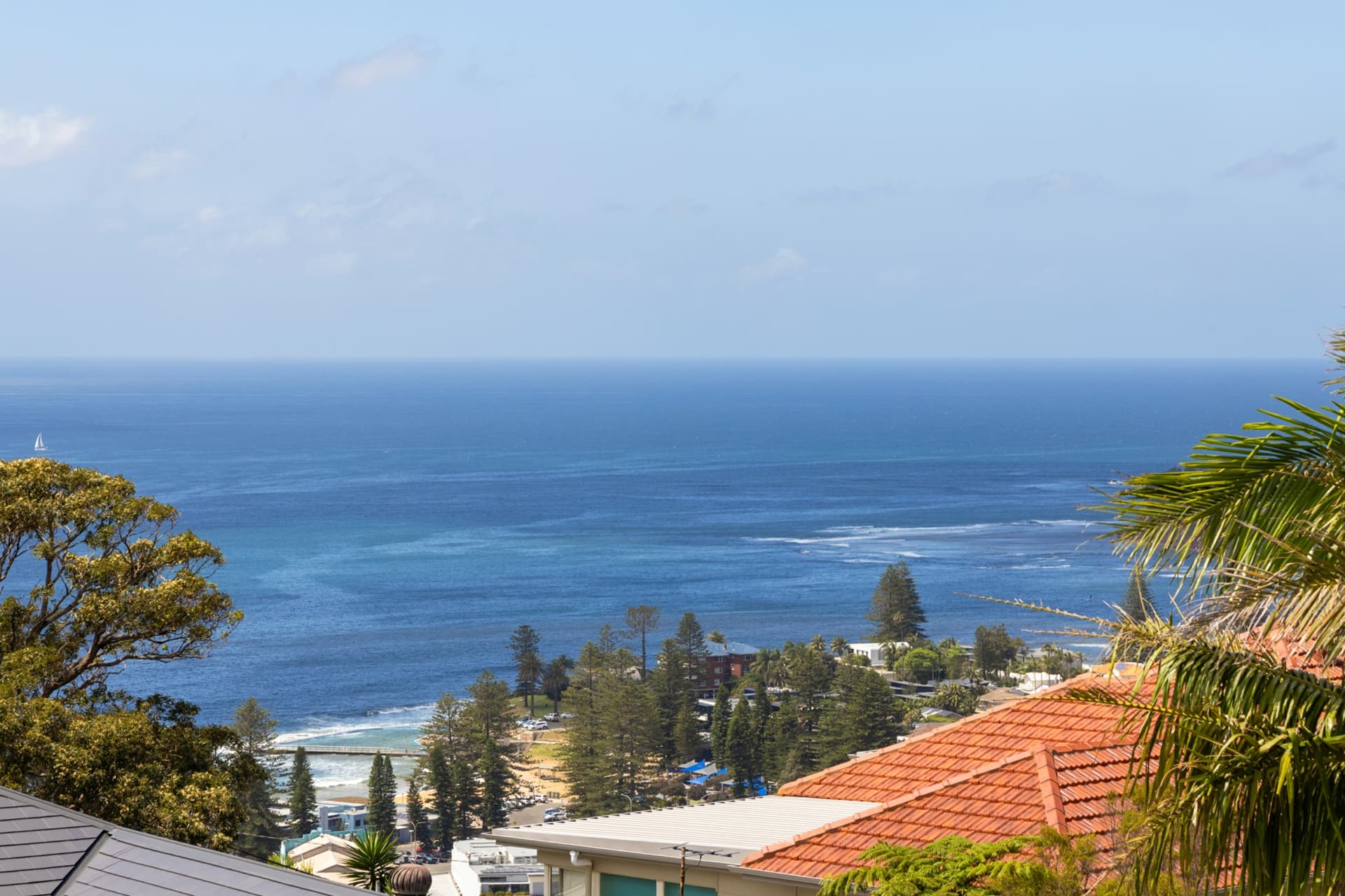 51 Hilma Street, Collaroy Plateau, Collaroy Plateau - Thumbnail 7