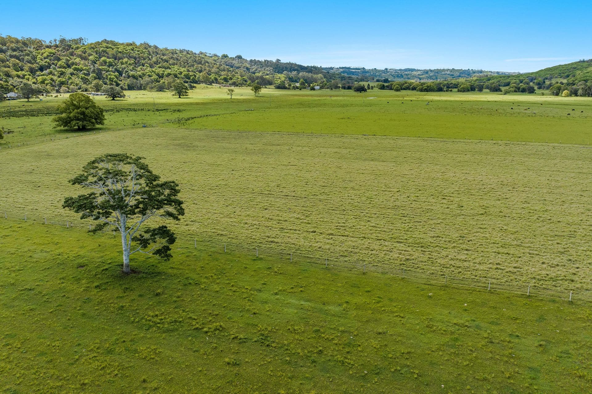 379 Tucki Road, Marom Creek, NSW, 2480, Marom Creek - Image 1
