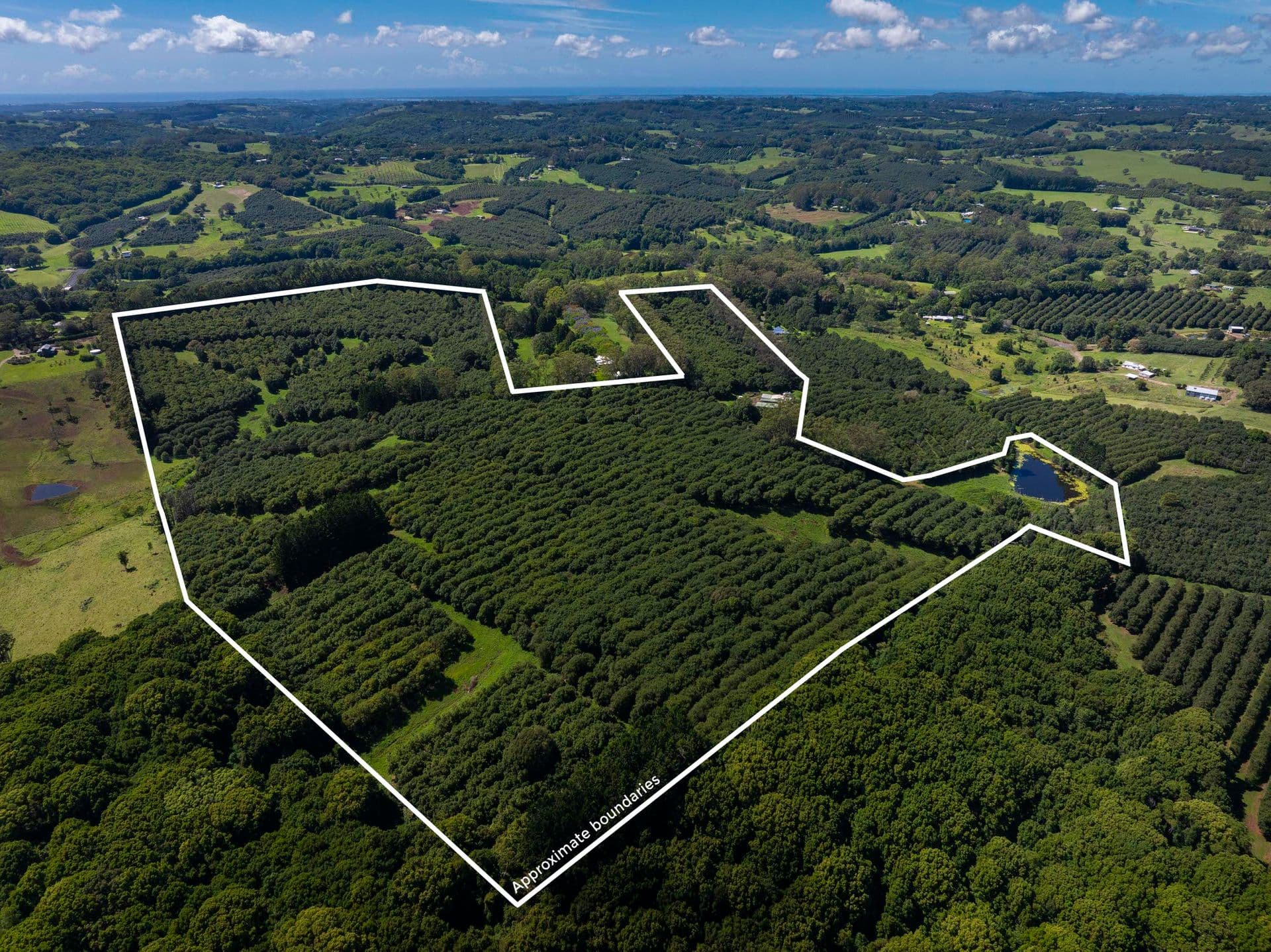 Address Withheld, McLeans Ridges, NSW, 2480, McLeans Ridges - Image 1