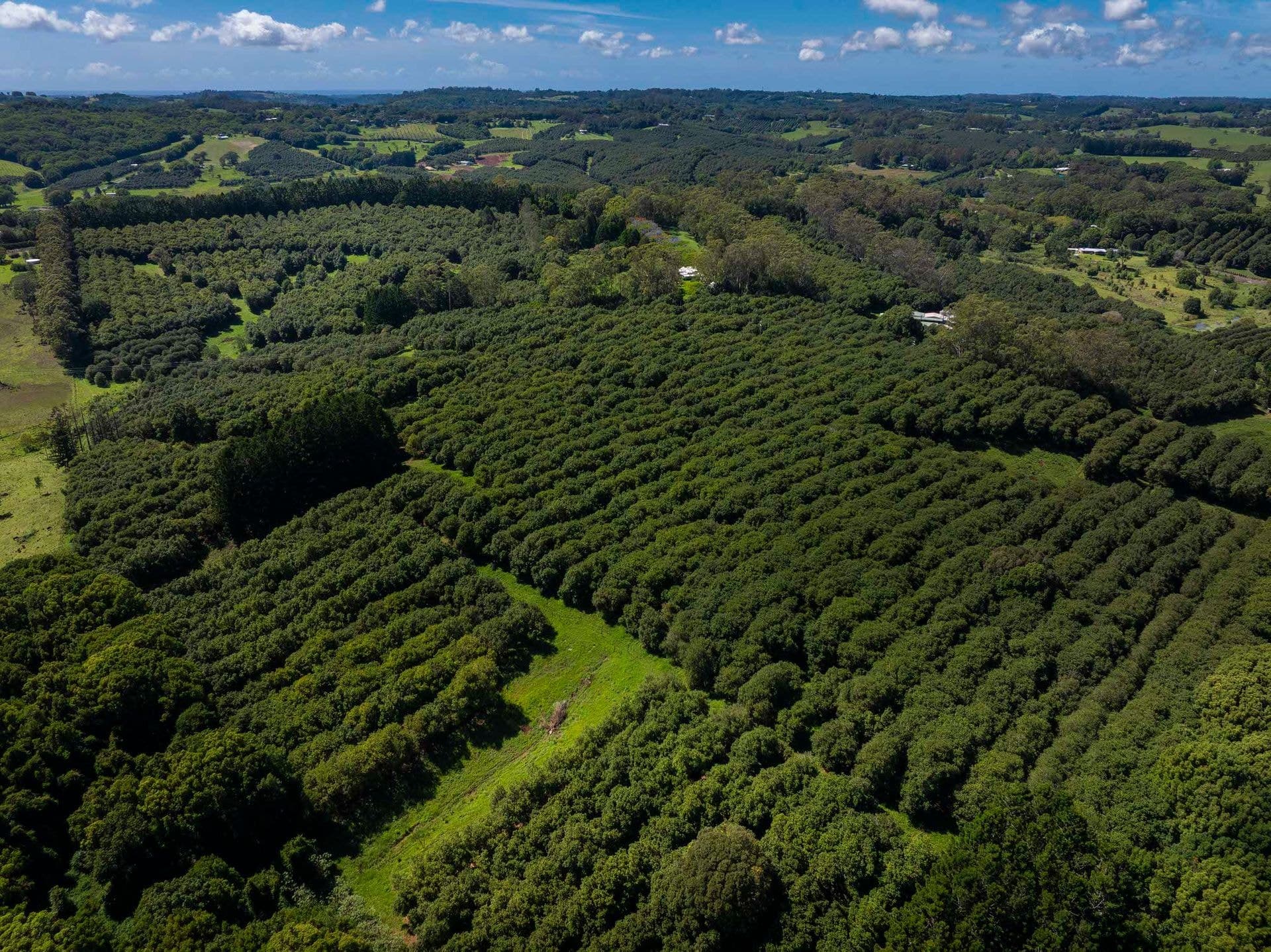 Address Withheld, McLeans Ridges, NSW, 2480, McLeans Ridges - Thumbnail 2
