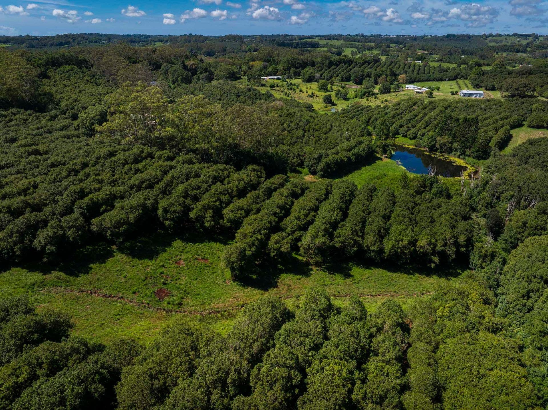 Address Withheld, McLeans Ridges, NSW, 2480, McLeans Ridges - Thumbnail 6