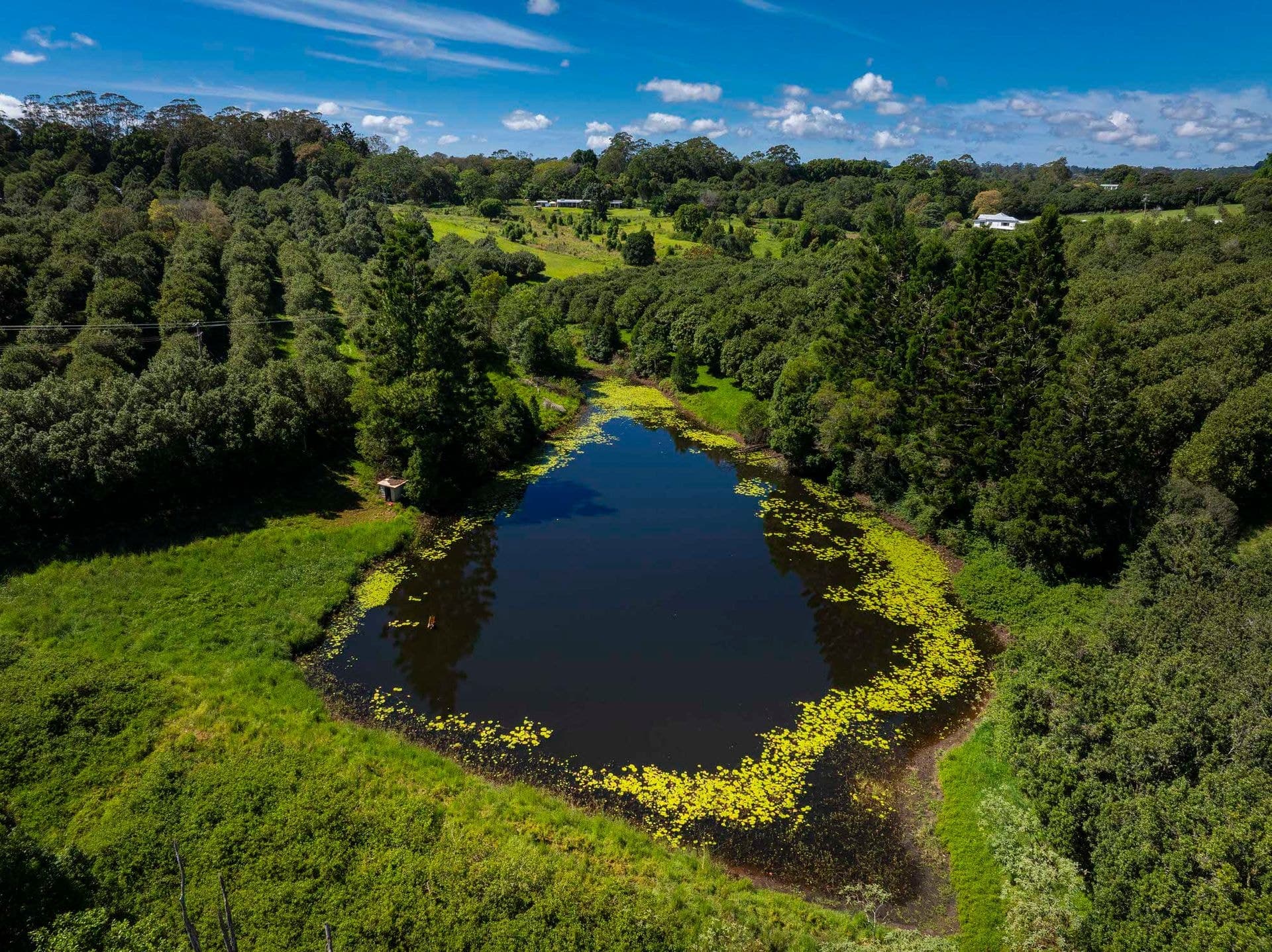 Address Withheld, McLeans Ridges, NSW, 2480, McLeans Ridges - Thumbnail 7