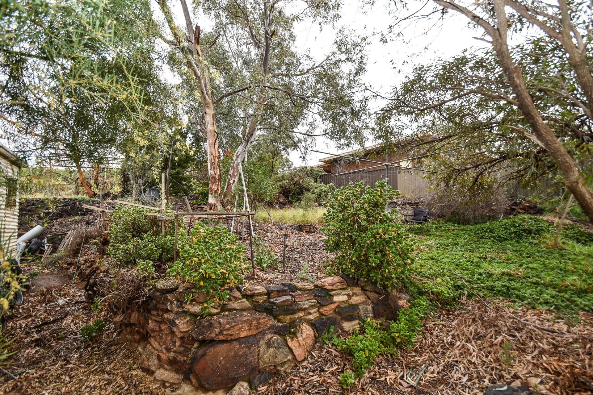 358 Hebbard Street, Broken Hill, NSW, 2880, Broken Hill - Thumbnail 8