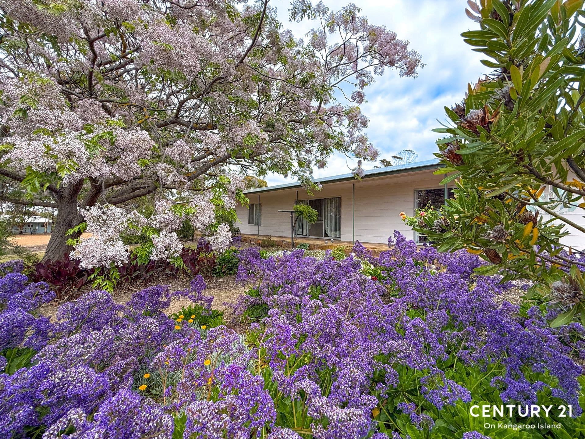38 Bayview Terrace, Brownlow Ki, SA, 5223, Brownlow Ki - Thumbnail 5
