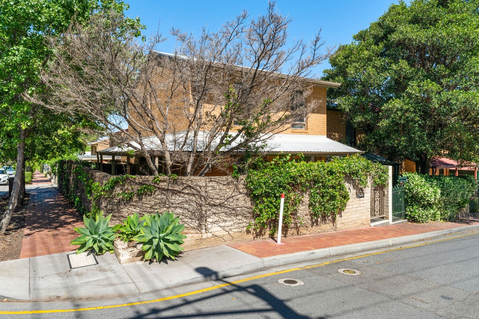 2a Noble Street, Ovingham, SA, 5082, Ovingham - Image 1